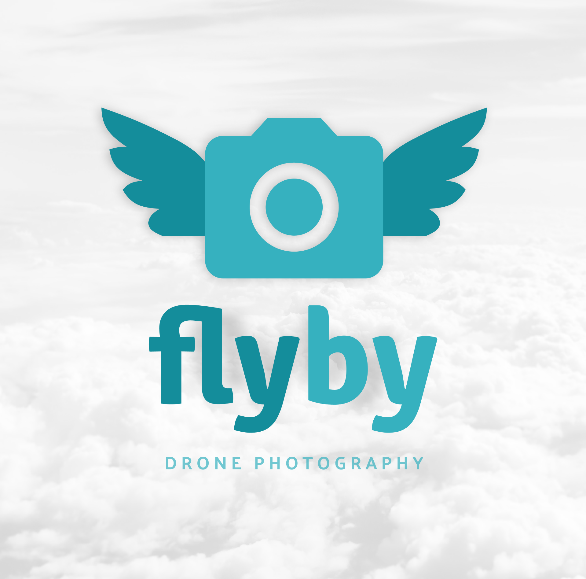 FlyBy (1).png