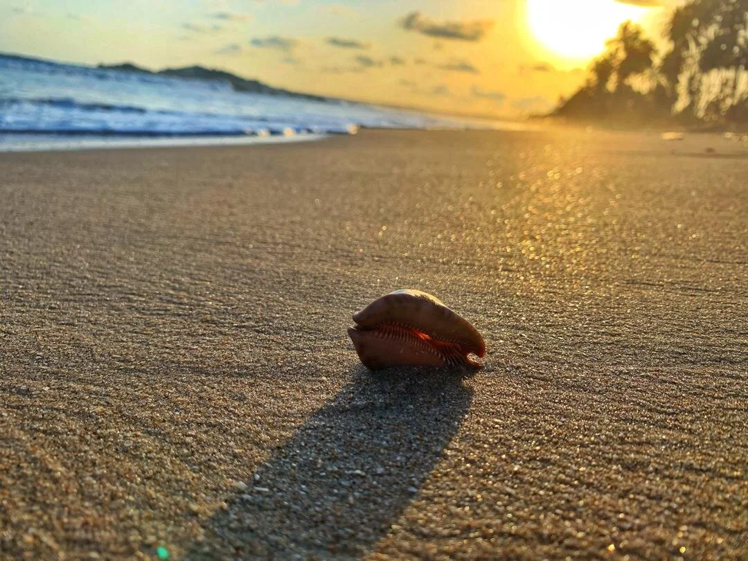 WhatsApp Image 2020-11-29 at 2.14.05 AM.jpeg