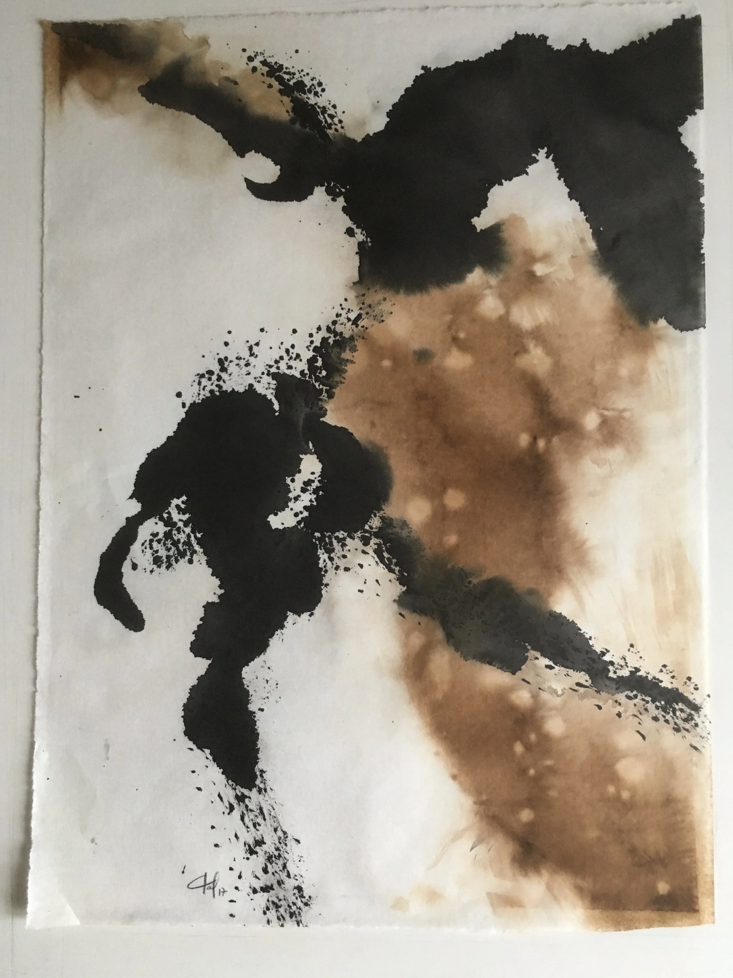 Le petit cheval blessé