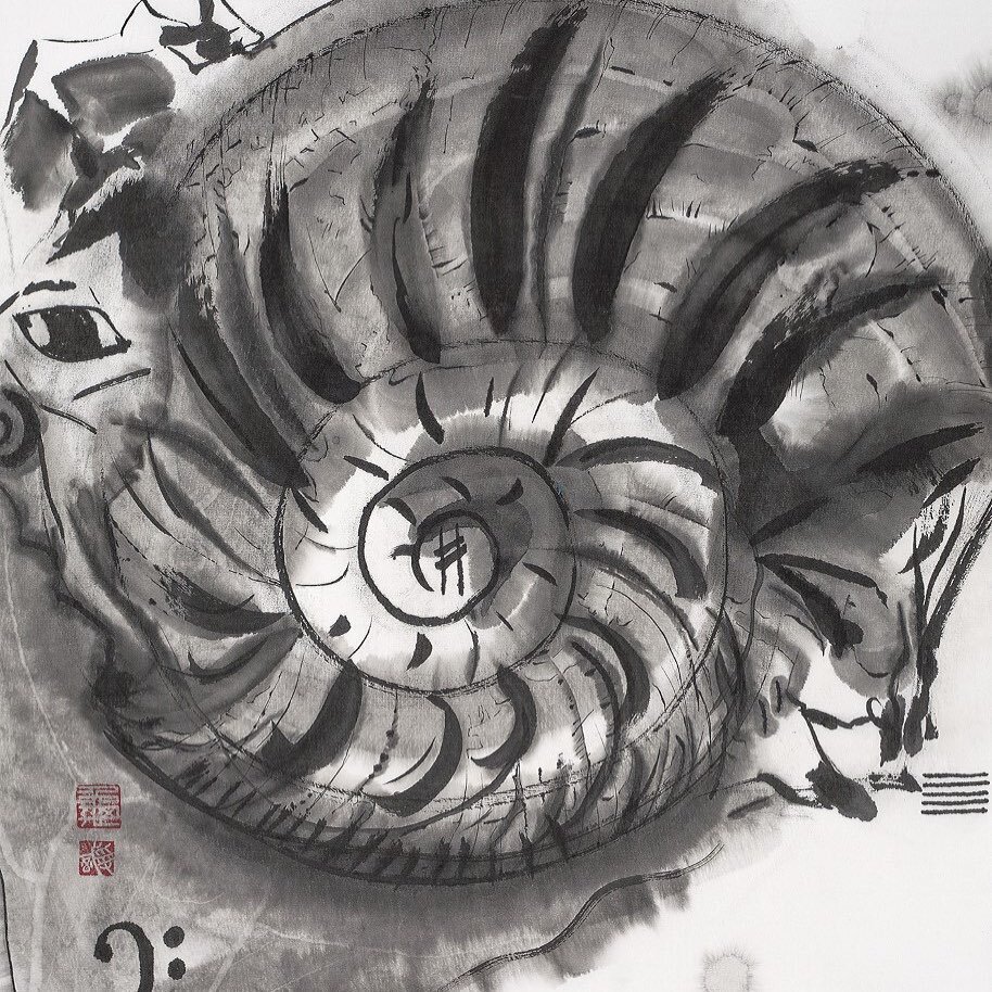 Jazz Ammonite, la noire #ammonite #encresurpapier #rythme #musique #noiretblanc