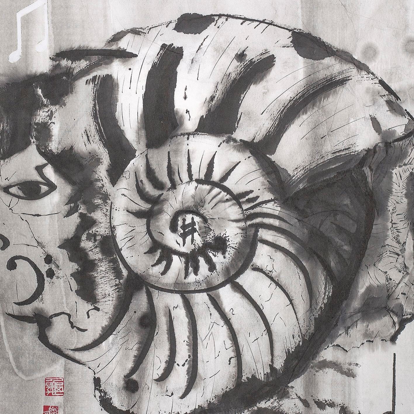 Jazz Ammonite la blanche, recherche pour concours d&rsquo;affiche Restart Montreux Jazz Festival #rythme #transformation #musique #nature #ouverture #Restart #covid_19 #swissartist