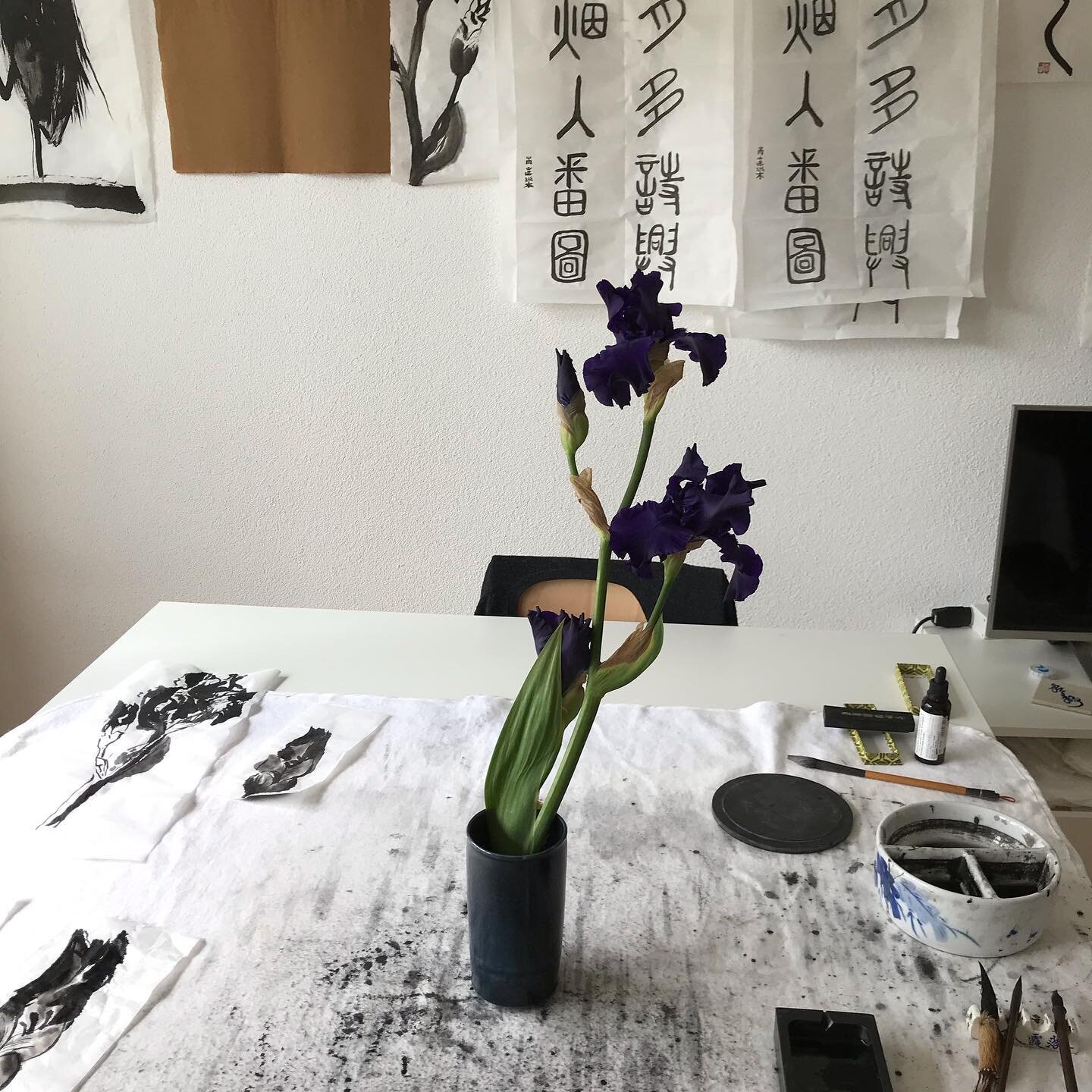 Tellement beau un iris! Merci Jacqueline #iris #peinturedujour #encrenoire #encredechine #calligraphie #artistesuisse #swissartist