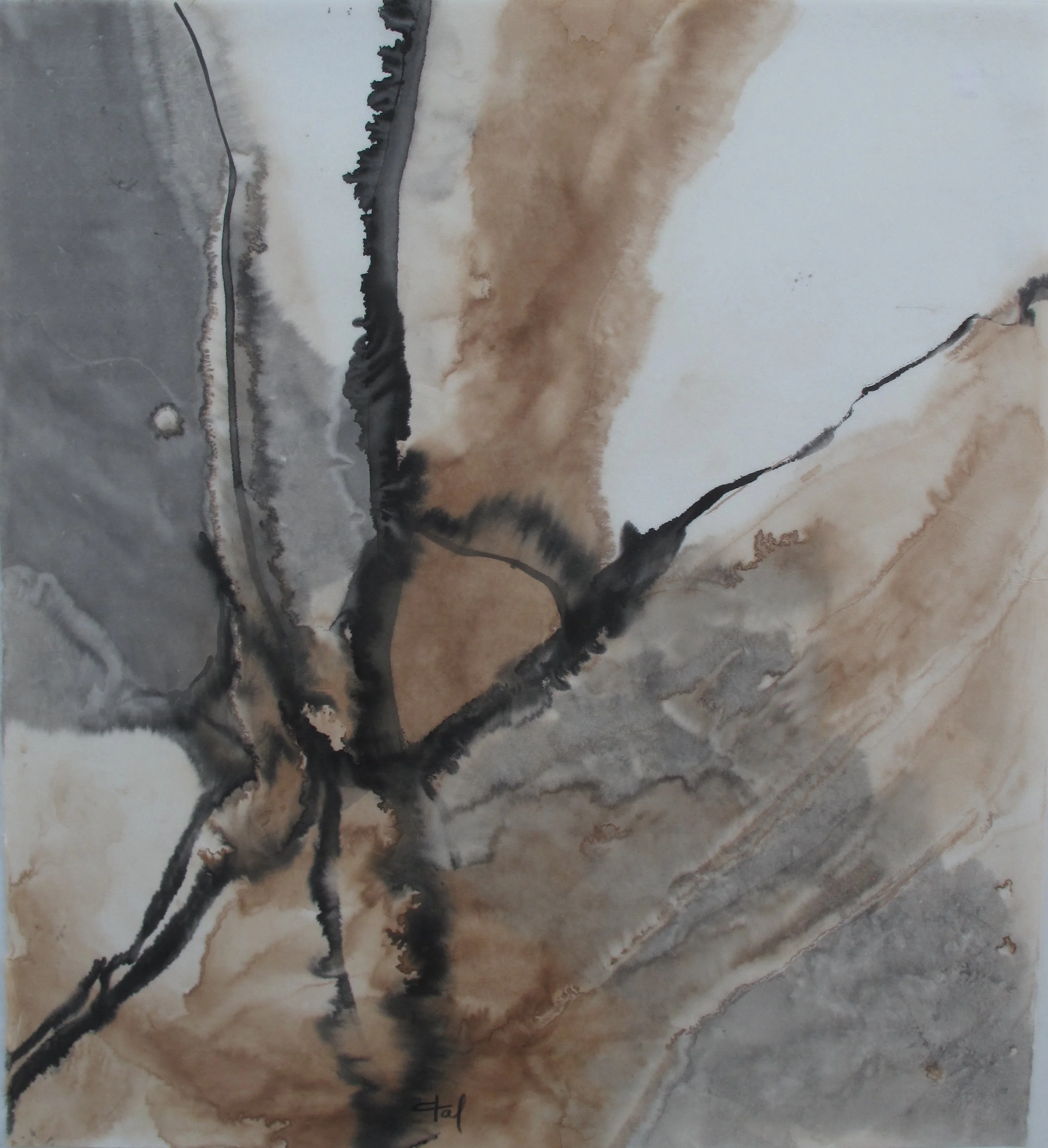 Lavis géologie 2018