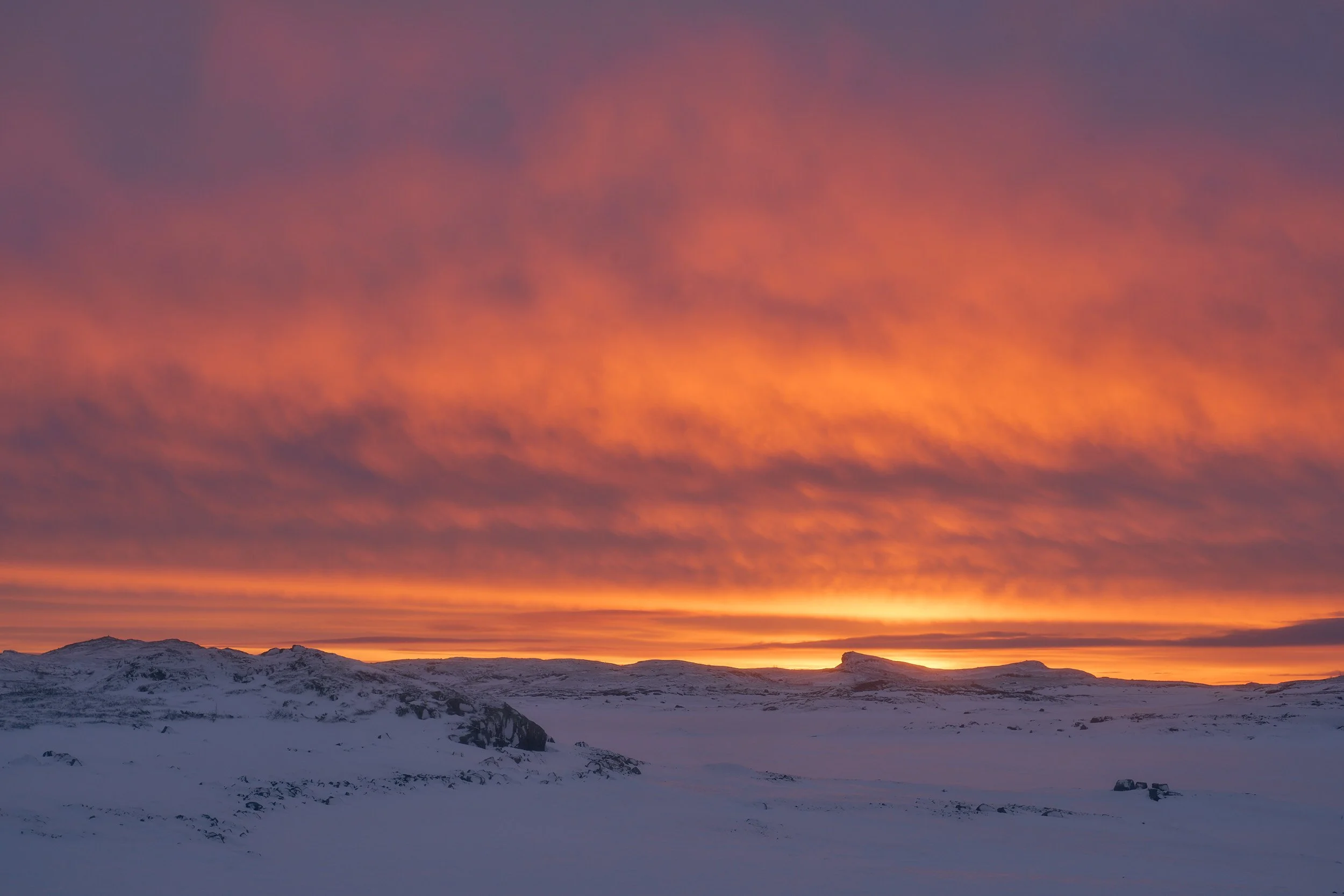 Ice Music Festival 2023 — Ice Music Festival