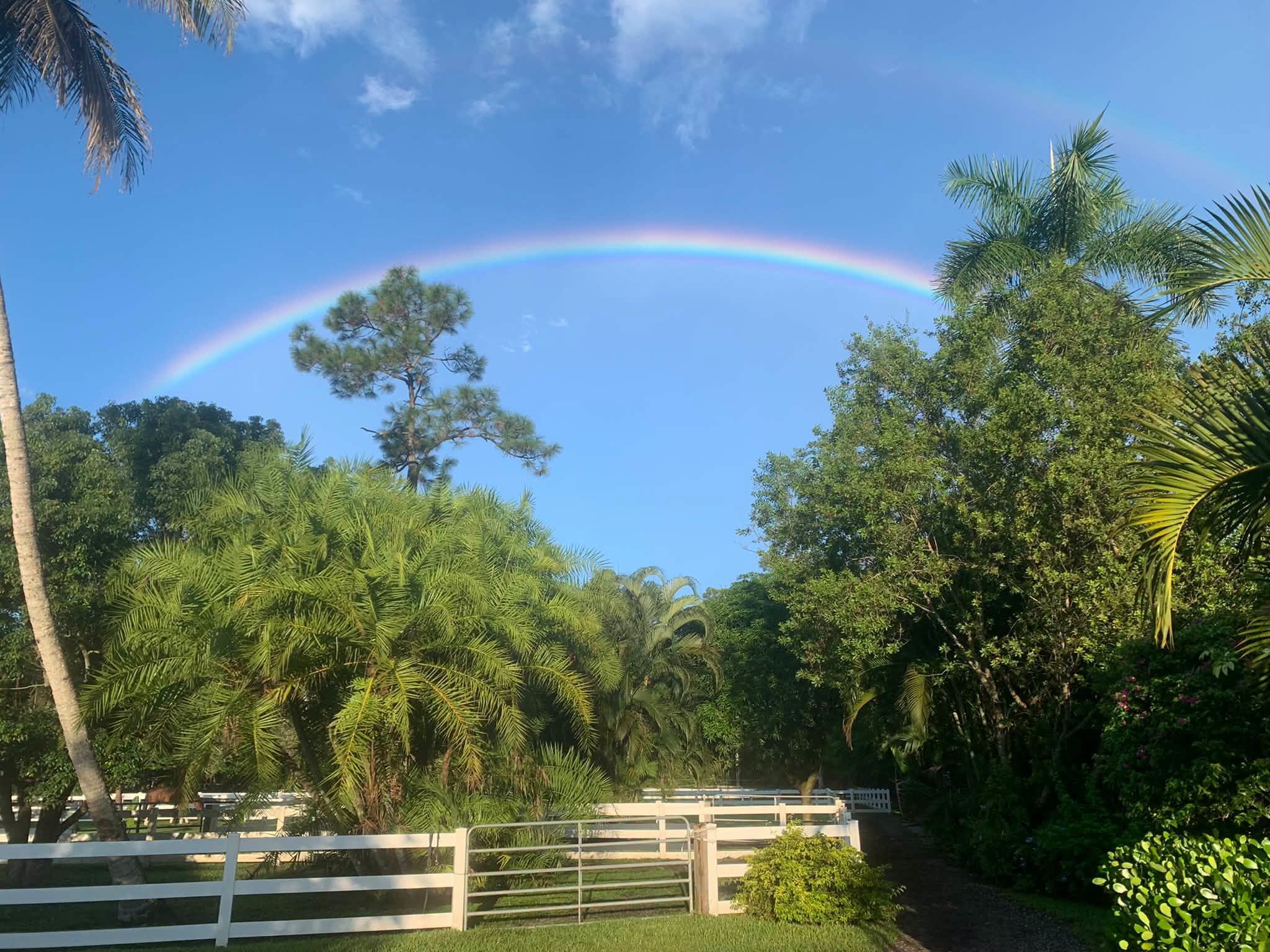 A bright blue sky with some scattered clouds, a rainbow arching across, and lush green tropical trees and plants in the foreground. There is a white fence at the bottom.