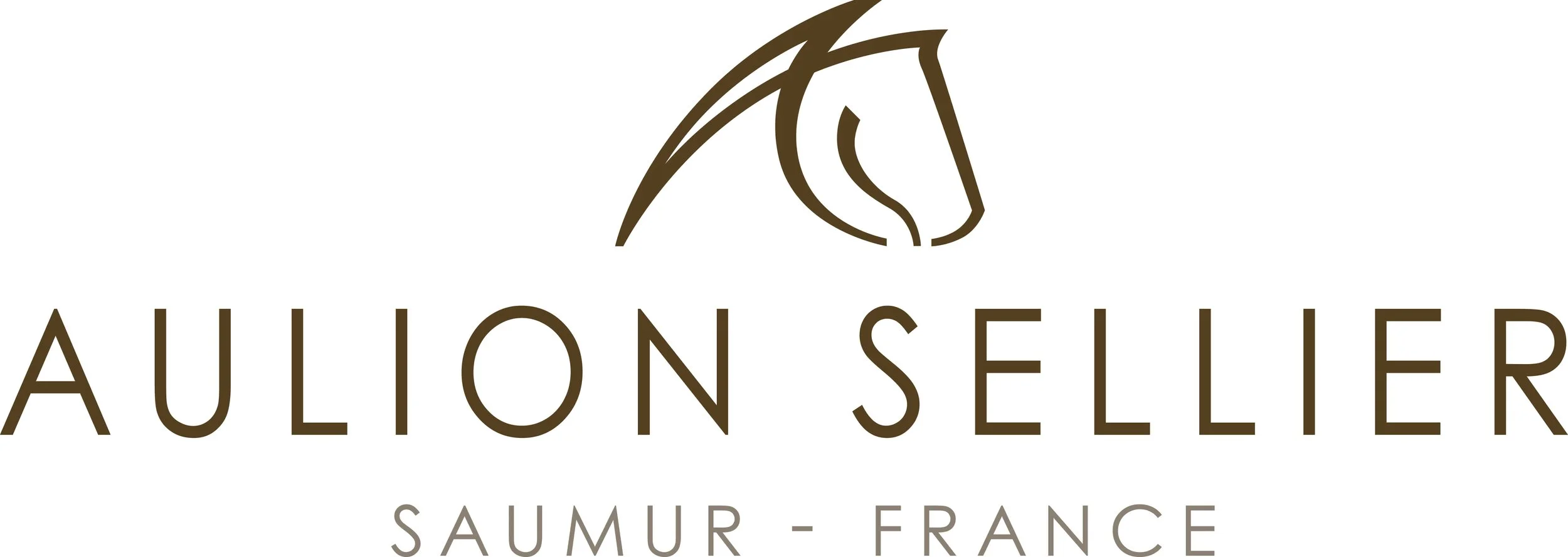 Logo Aulion Sellier CMJN horizontal.jpg