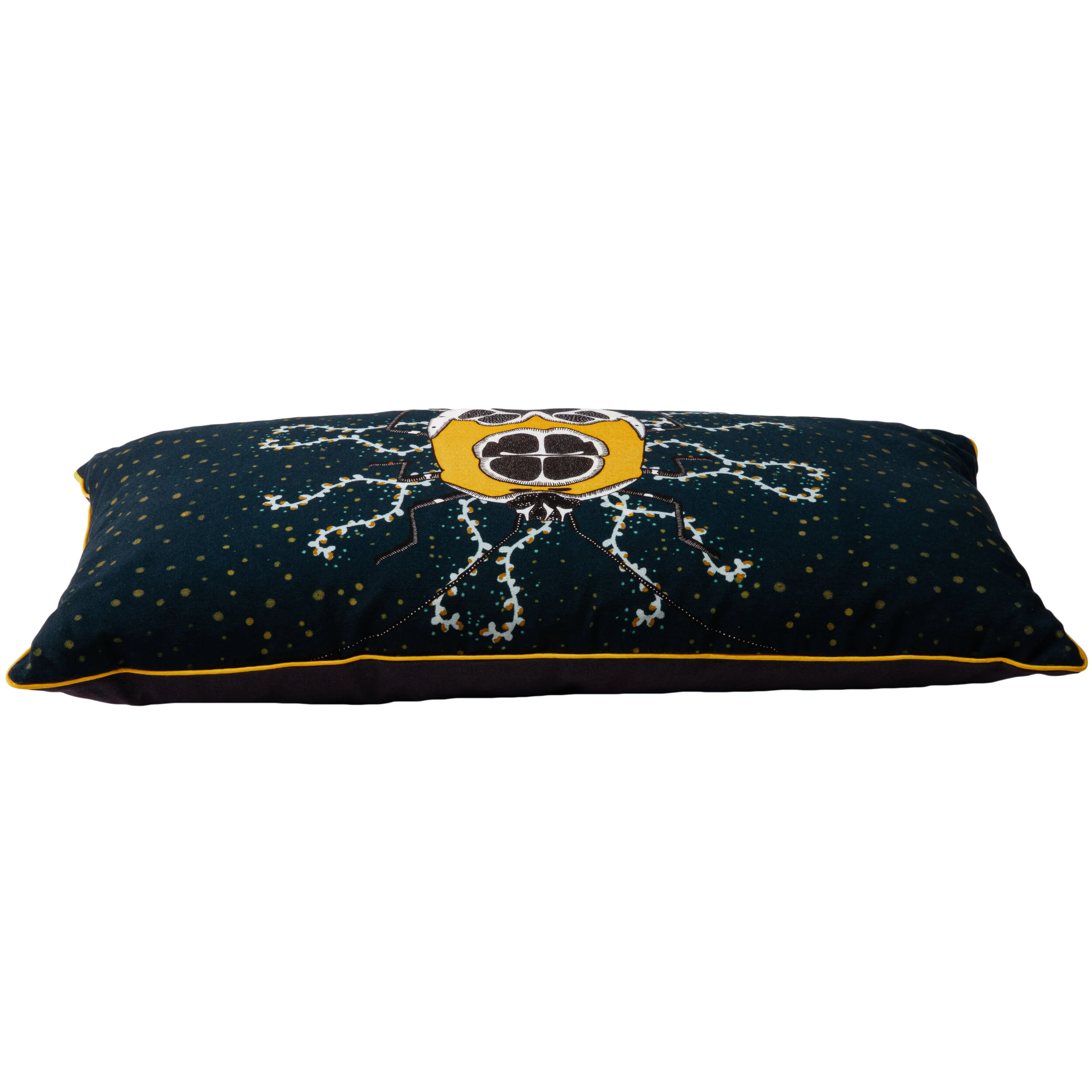 Cushion's Batch#2-18.jpg