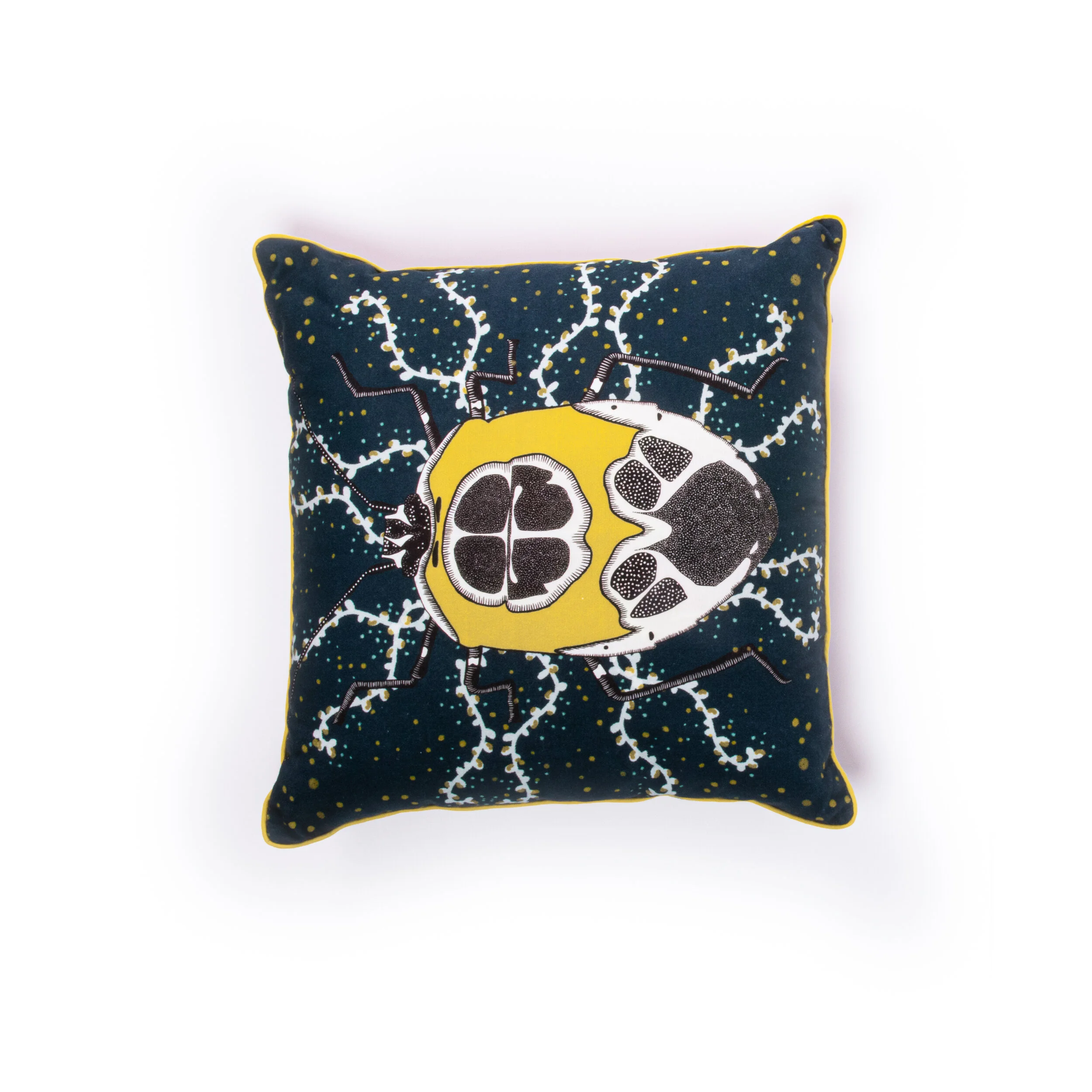 Cushion's Batch#2-08.jpg