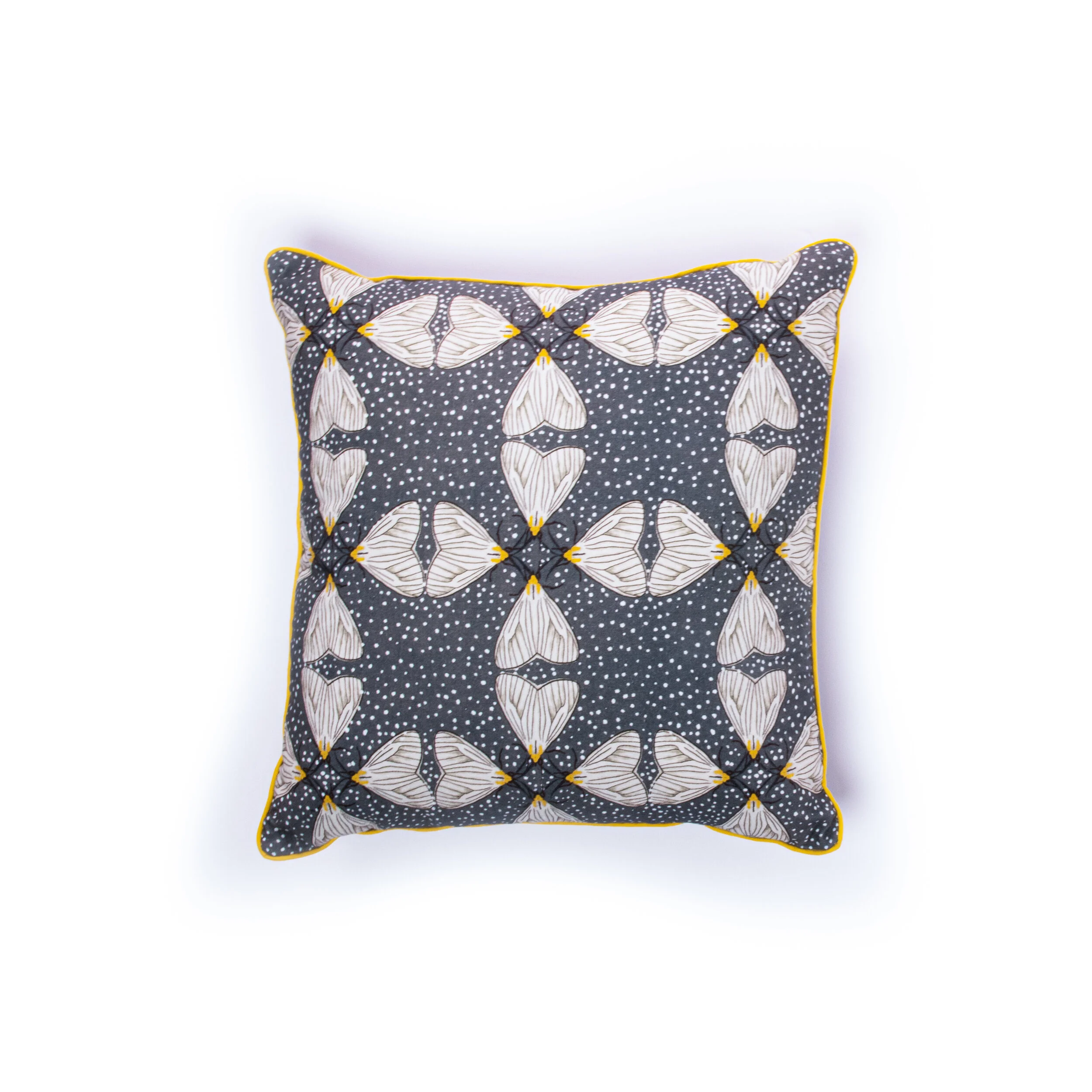 Cushion's Batch#2-02.jpg