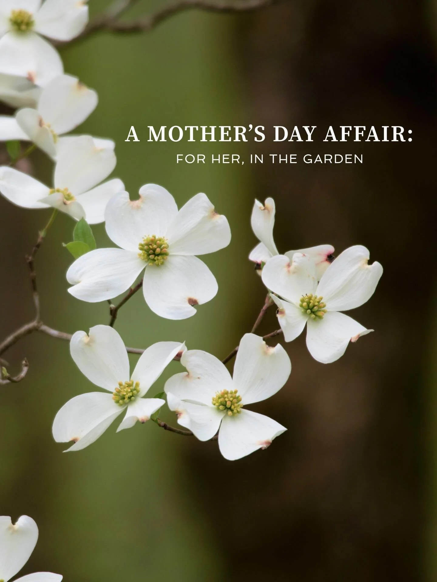 A weekend devoted to you&mdash;brunch in the Wine Garden, flowers waiting in your room, and quiet moments designed to celebrate mom. 🌹

Sunday, May 10, 2026
11:00 AM  1:00 PM
Find out more on our website 

#themountaintoplodge #mothersday #dahlonega
