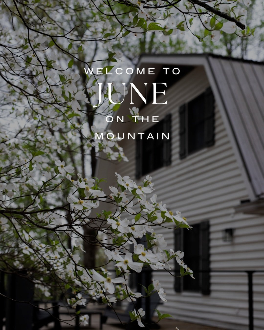 June arrives with every reason to stay a little longer.

A Father&rsquo;s Day celebration shared on the mountain. Evenings filled with live music and mountain air. A chilled glass of wine in the garden. Supper club dinners that linger well beyond des
