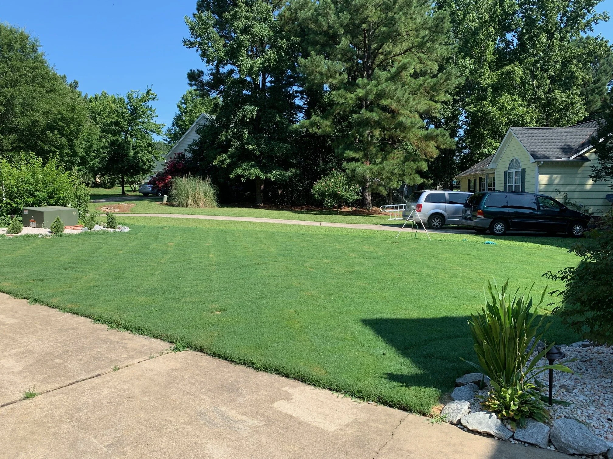 Sod,  landscaping and site prep.