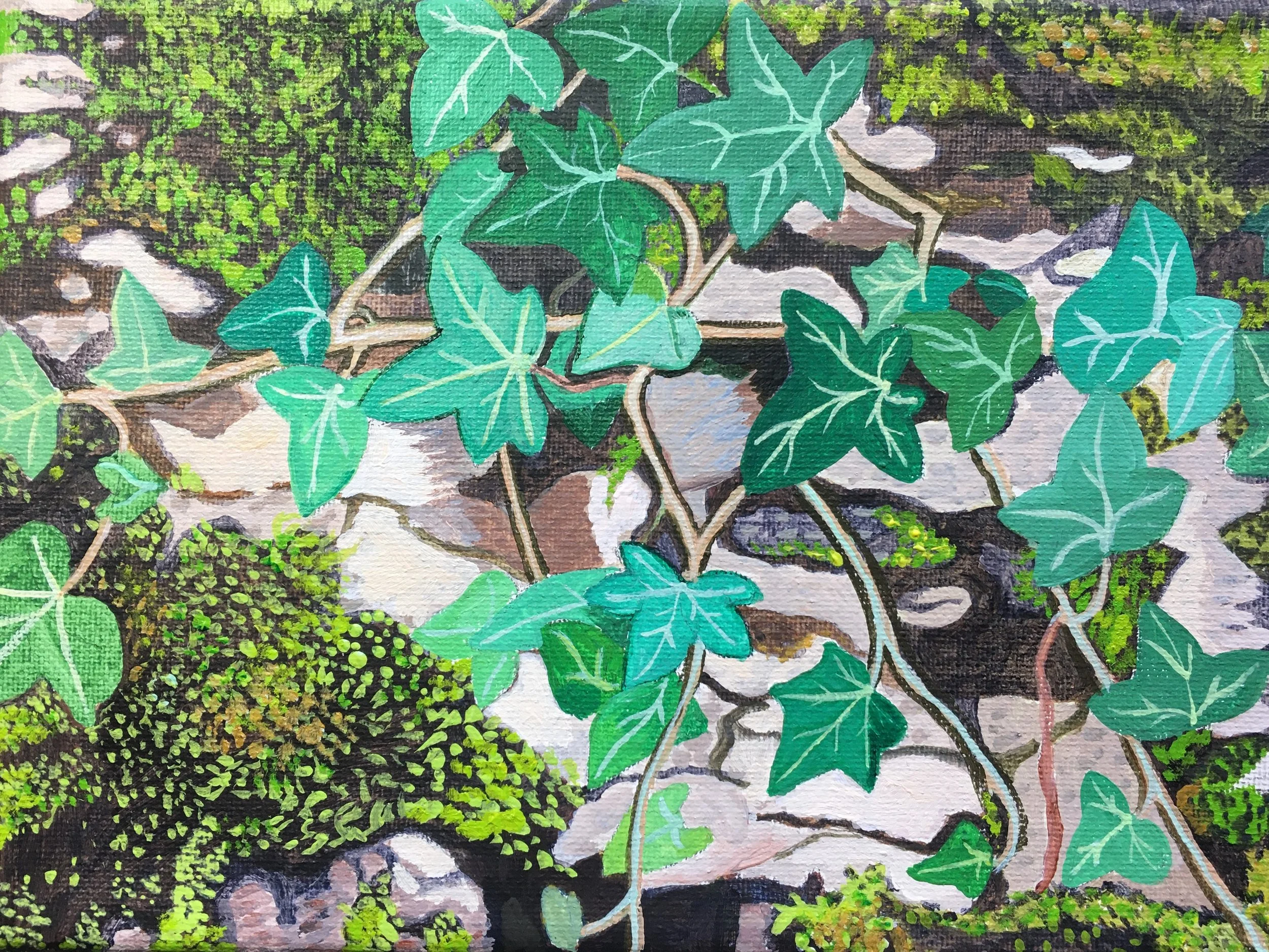 Moss and Ivy Study.JPG