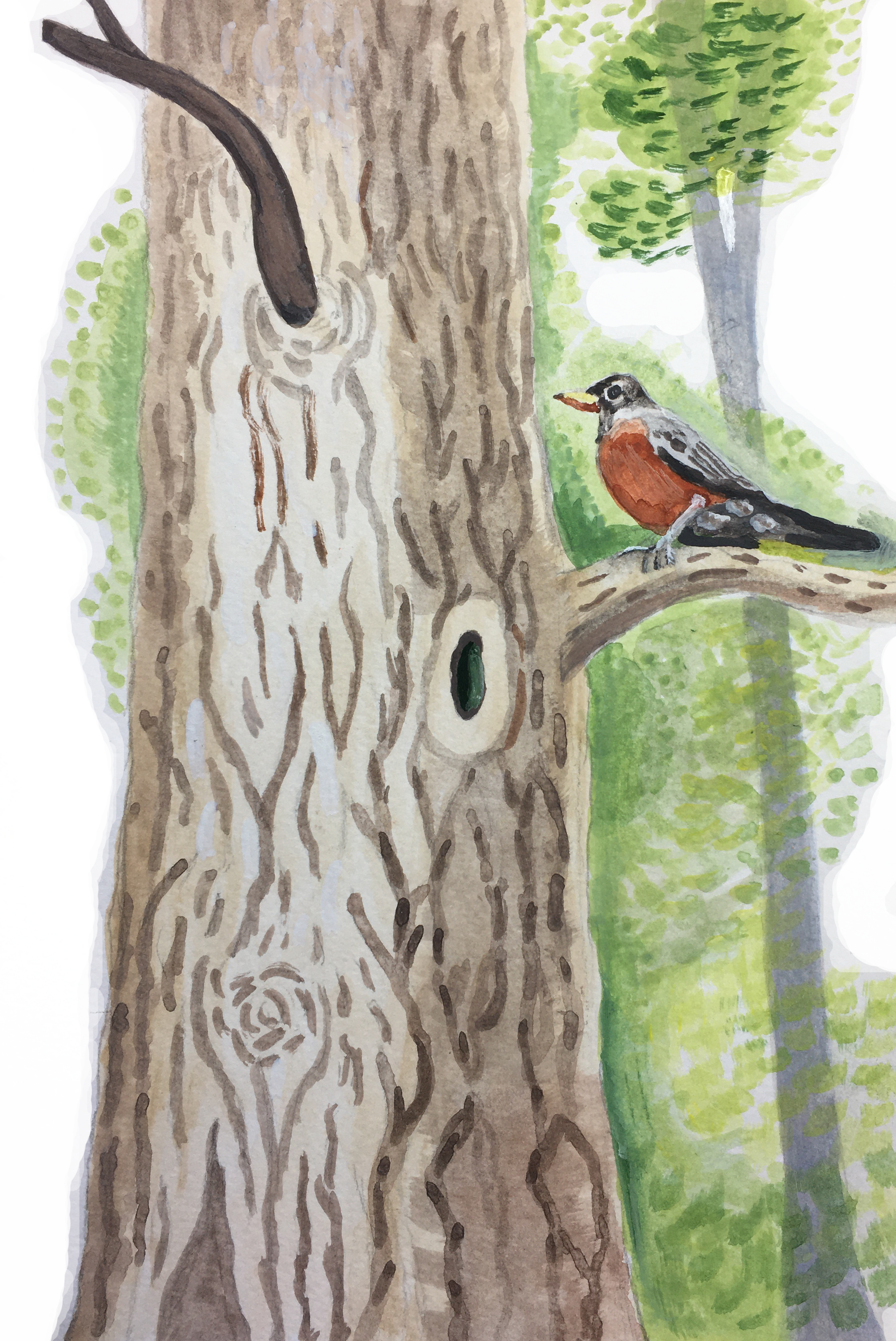 Bird.png