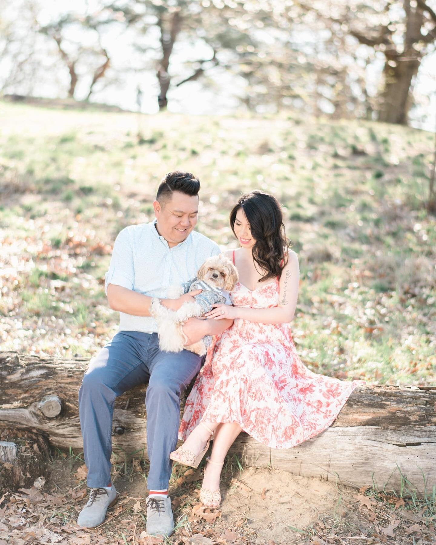 How perfectly timed that I was asked by @thekitca to talk about pets at weddings as I enter into the weekend with 2 ceremonies involving the couple&rsquo;s fur babies! 

Click on the link in my profile to read about my expert tips on how to involve y