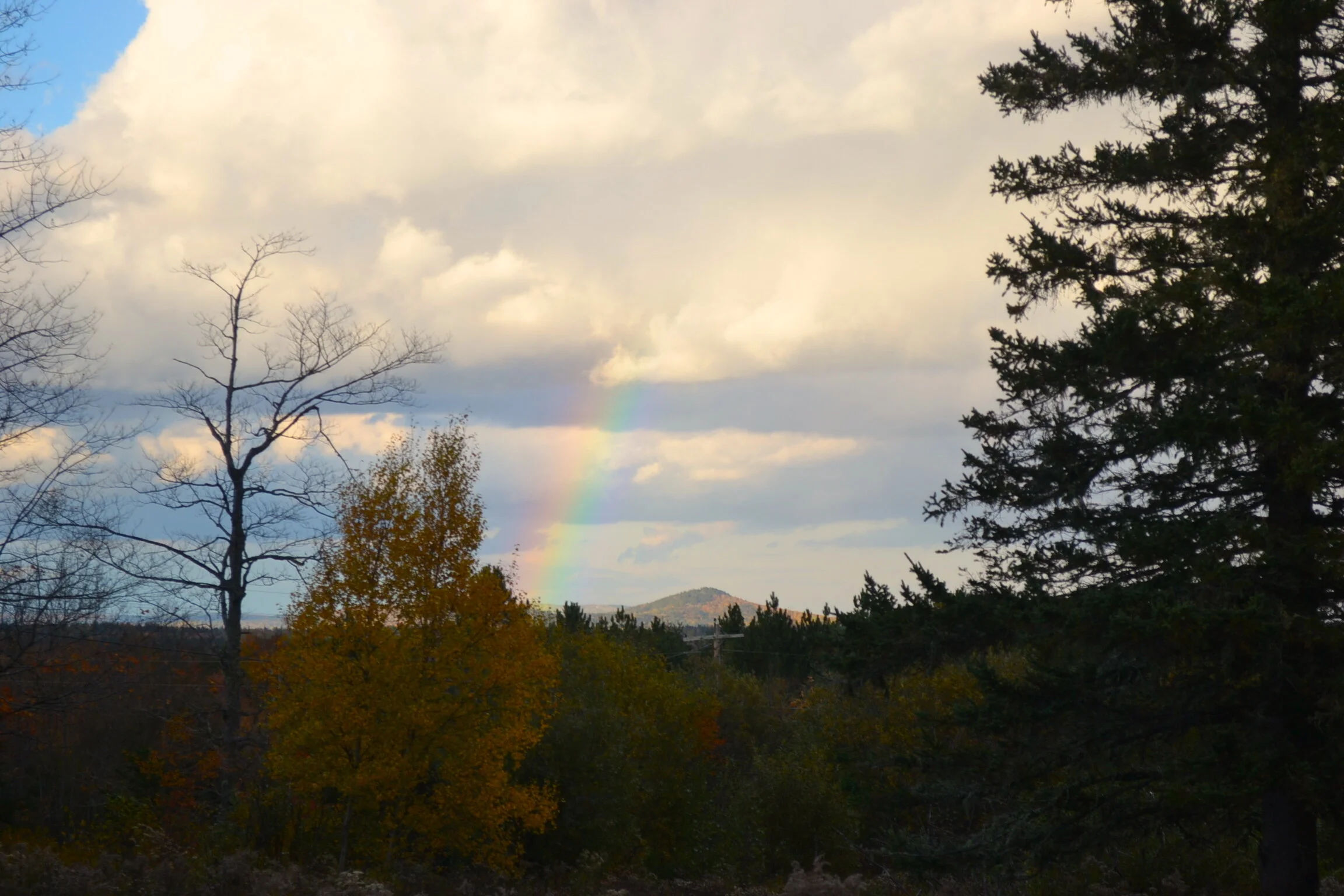 DSC_0054.JPG