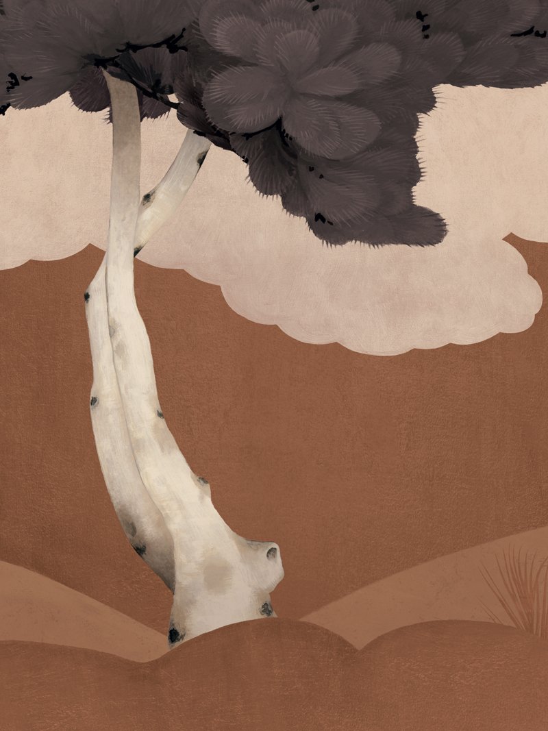 2005.01 Trees Rust Website Sample Crop.jpg