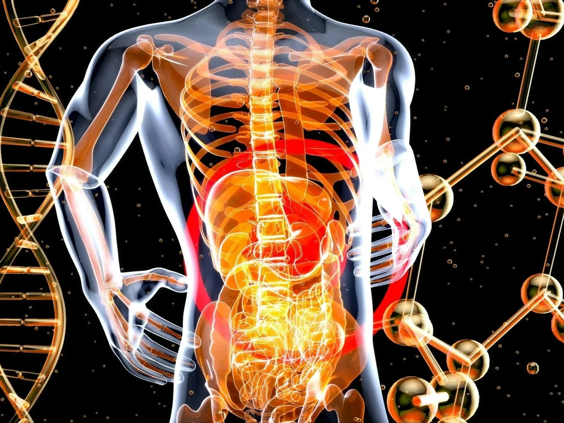 Acid Reflux and Stomach Acid