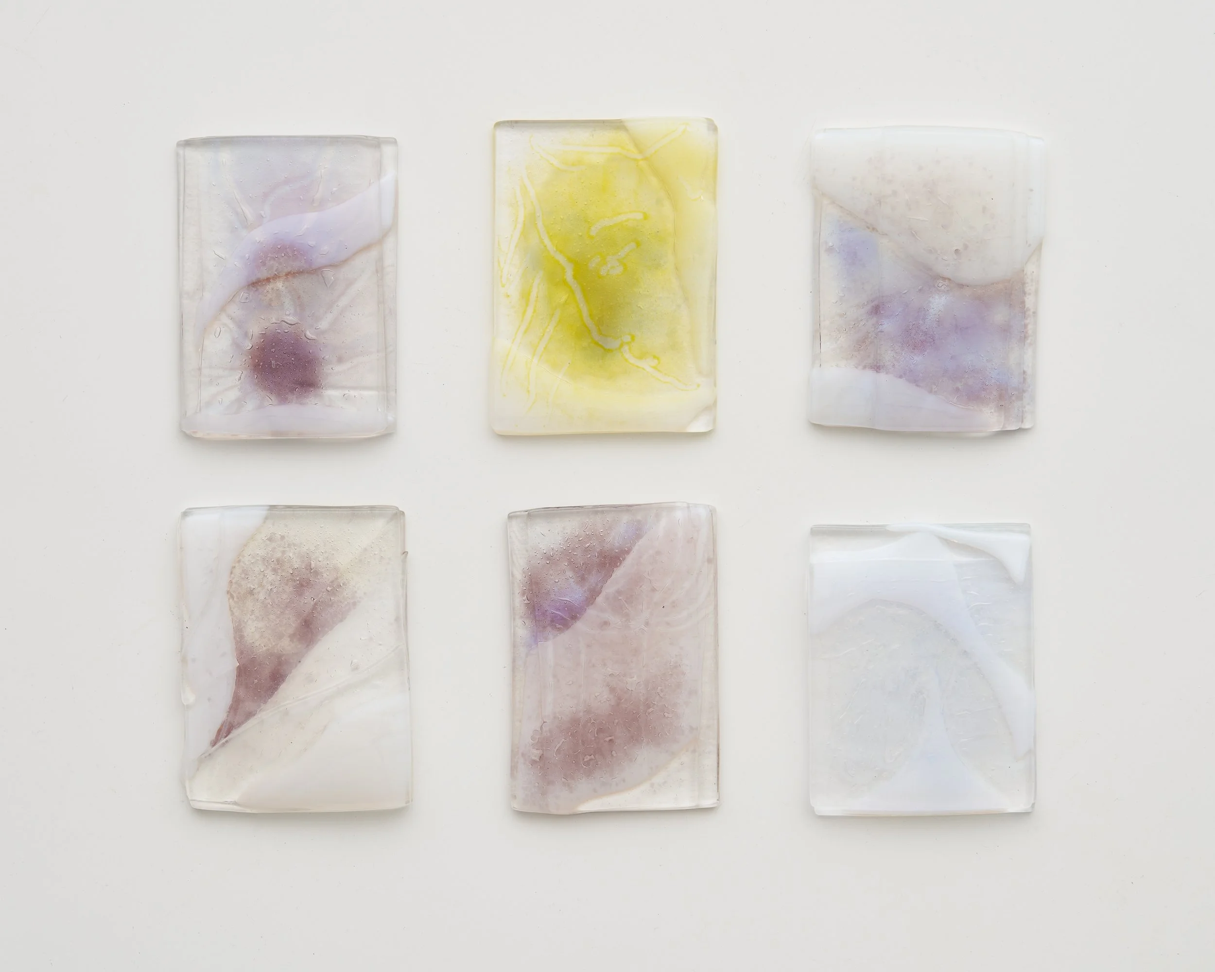 Marilyn Sonneveld | Special Edition Dandelions, 2026