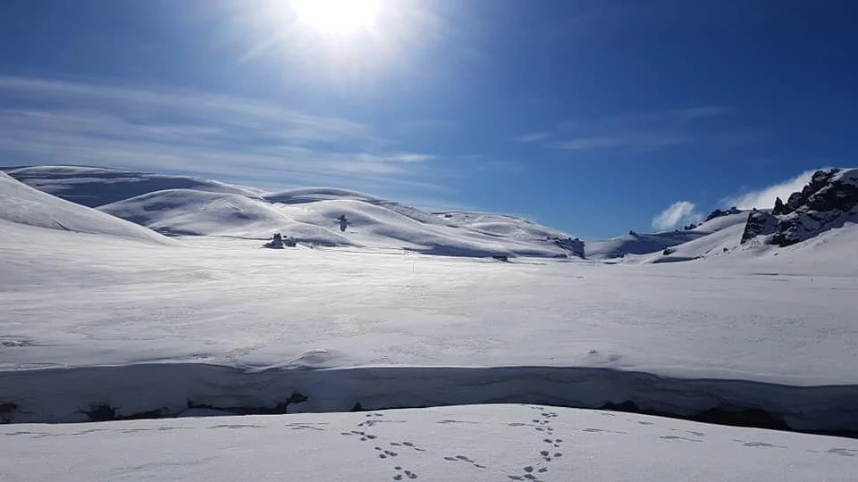 Snowgaine 24th July 2021