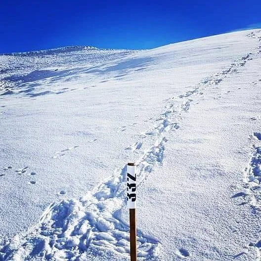 Snowgaine - pic3.jpg