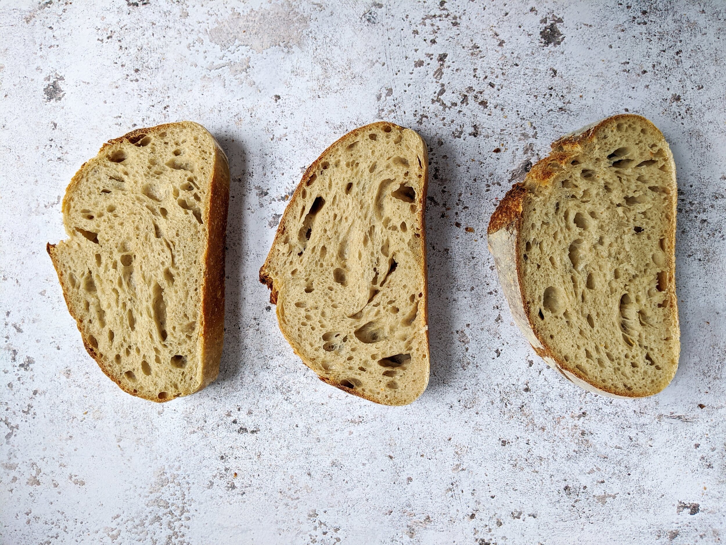 Class 2 - Sourdough
