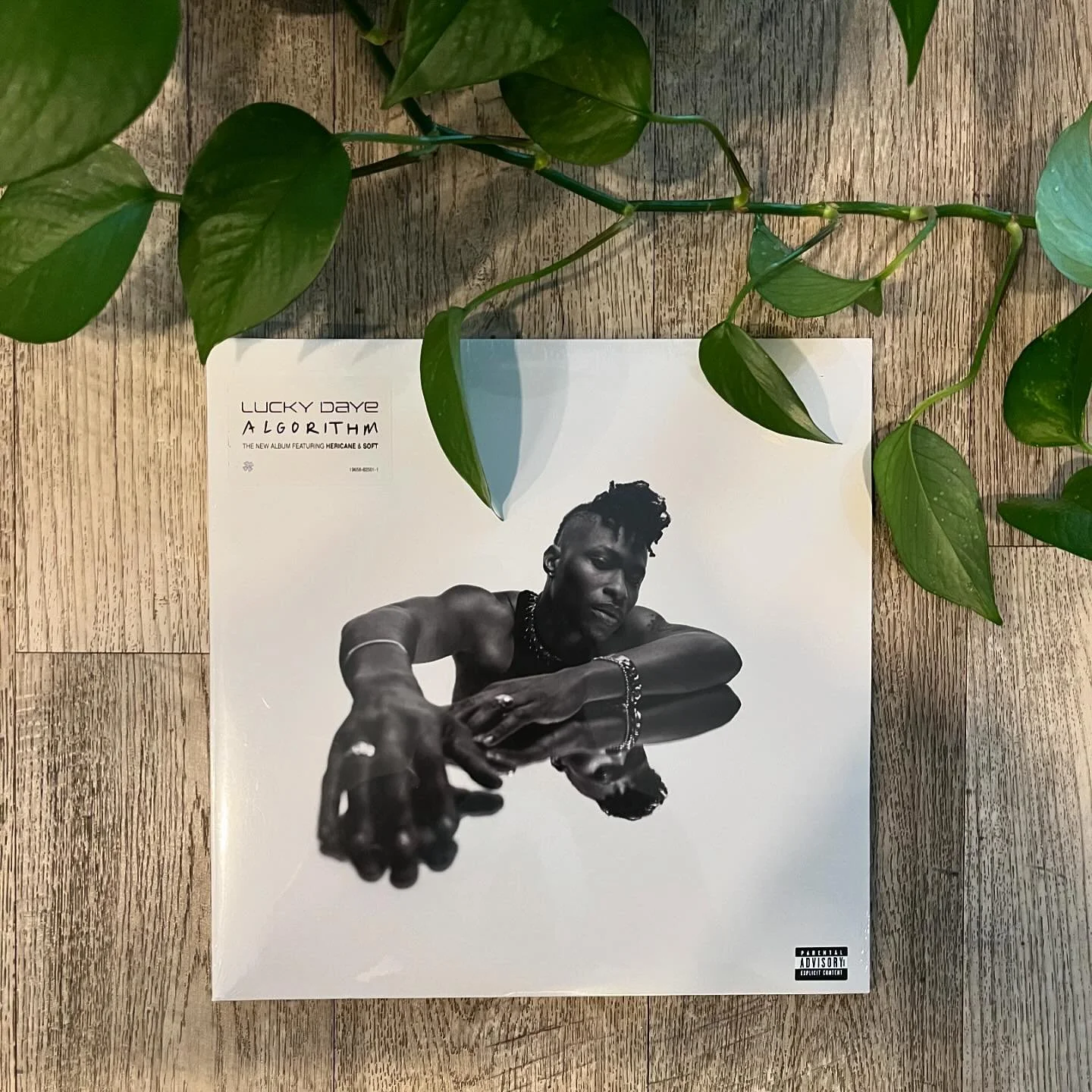 A new addition to the mix. I was driving down Cahuenga Blvd in Hollywood headed to pick up some wristbands for an event, listening to Diamonds in Teal and I thought about my aunt. Thought about her passing. Thought about my life, and how for the firs