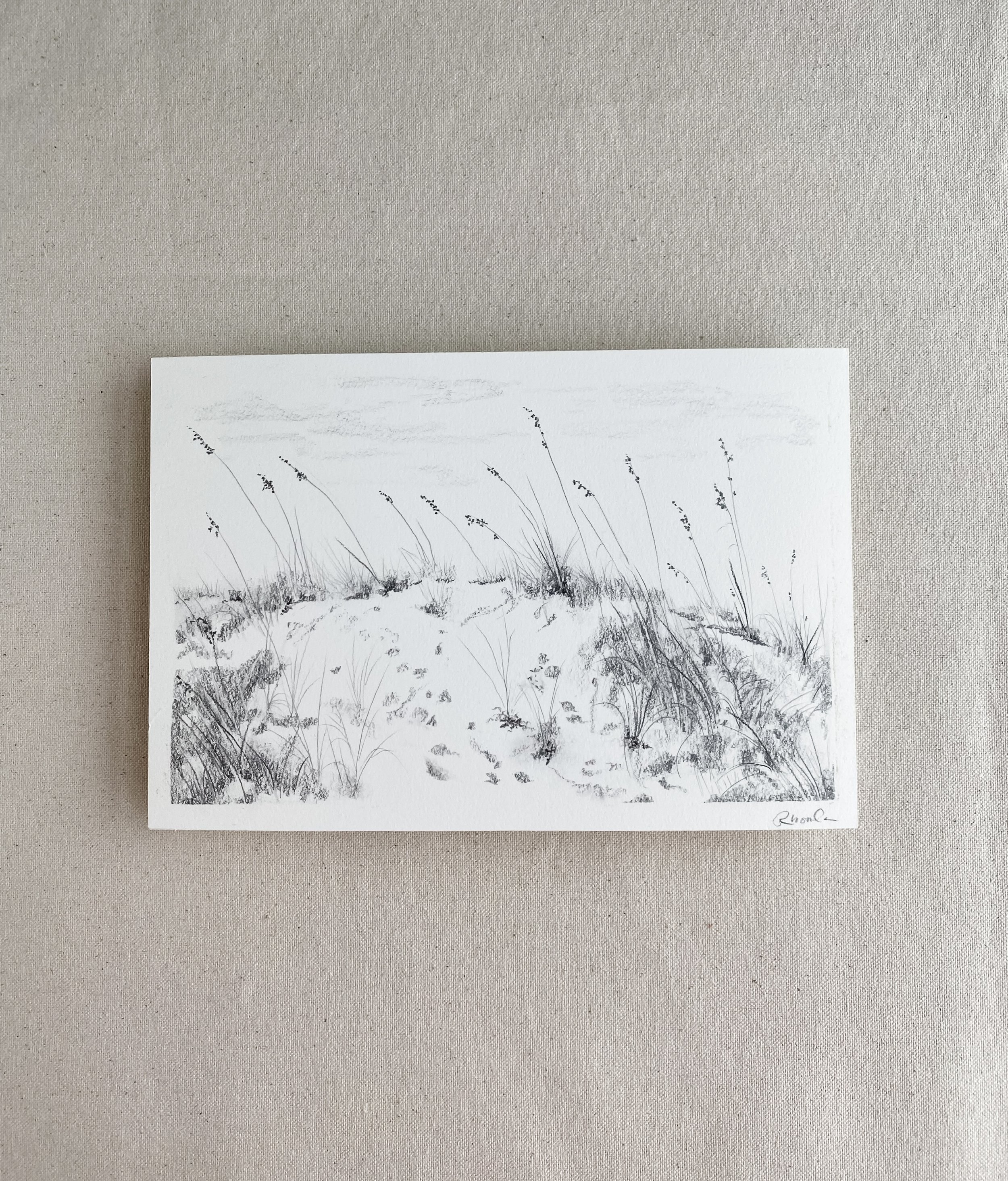 Seaside Sand Dunes