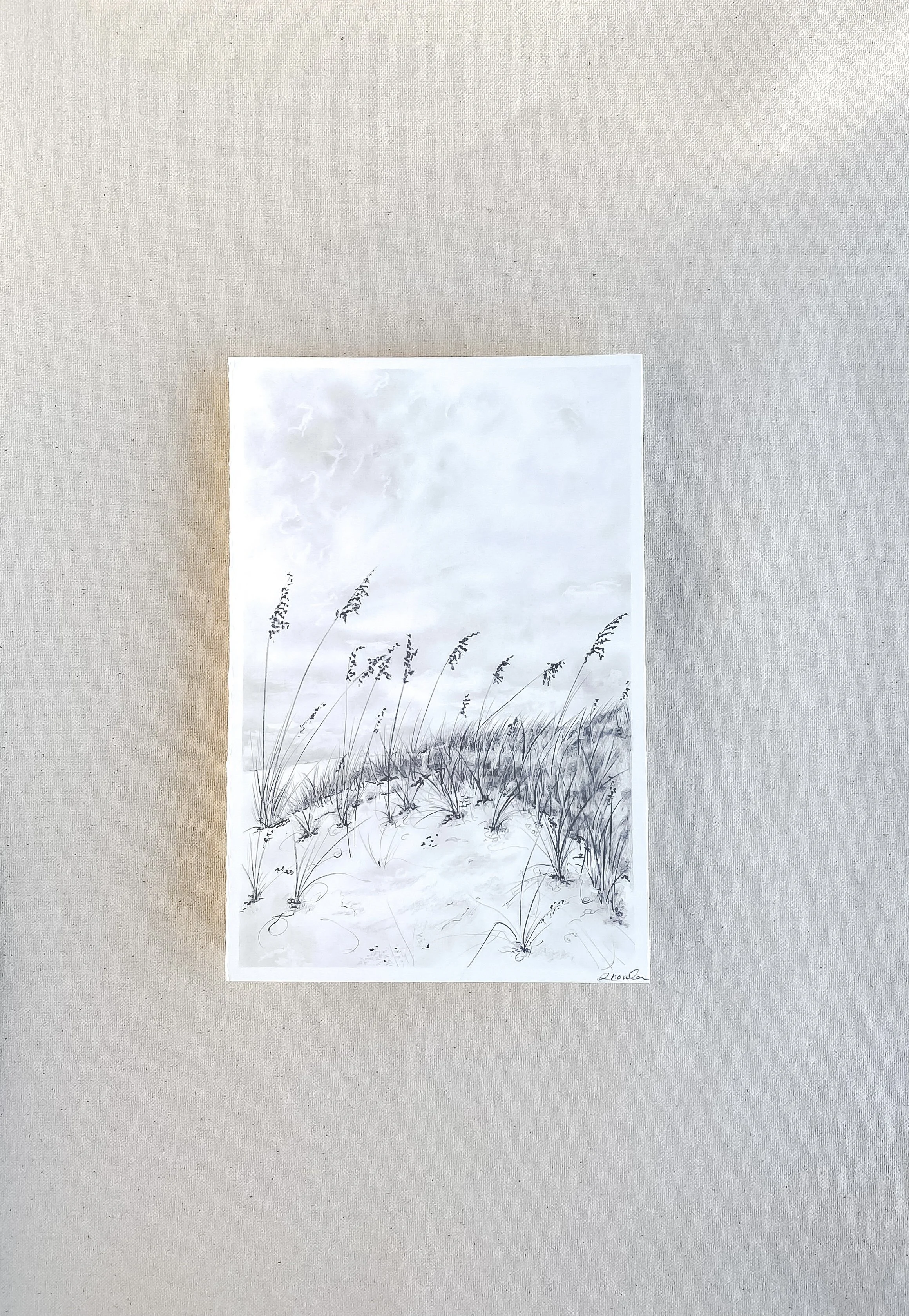 sandy oats on sand dunes drawing