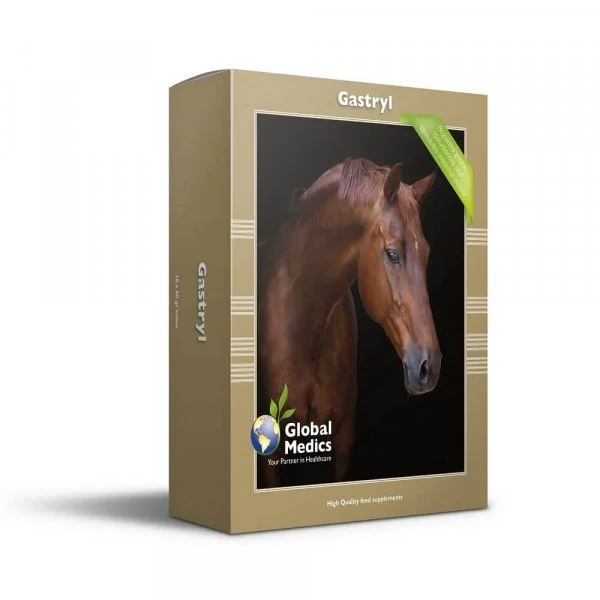 Global Medics - Gastryl, 10 x 60 g