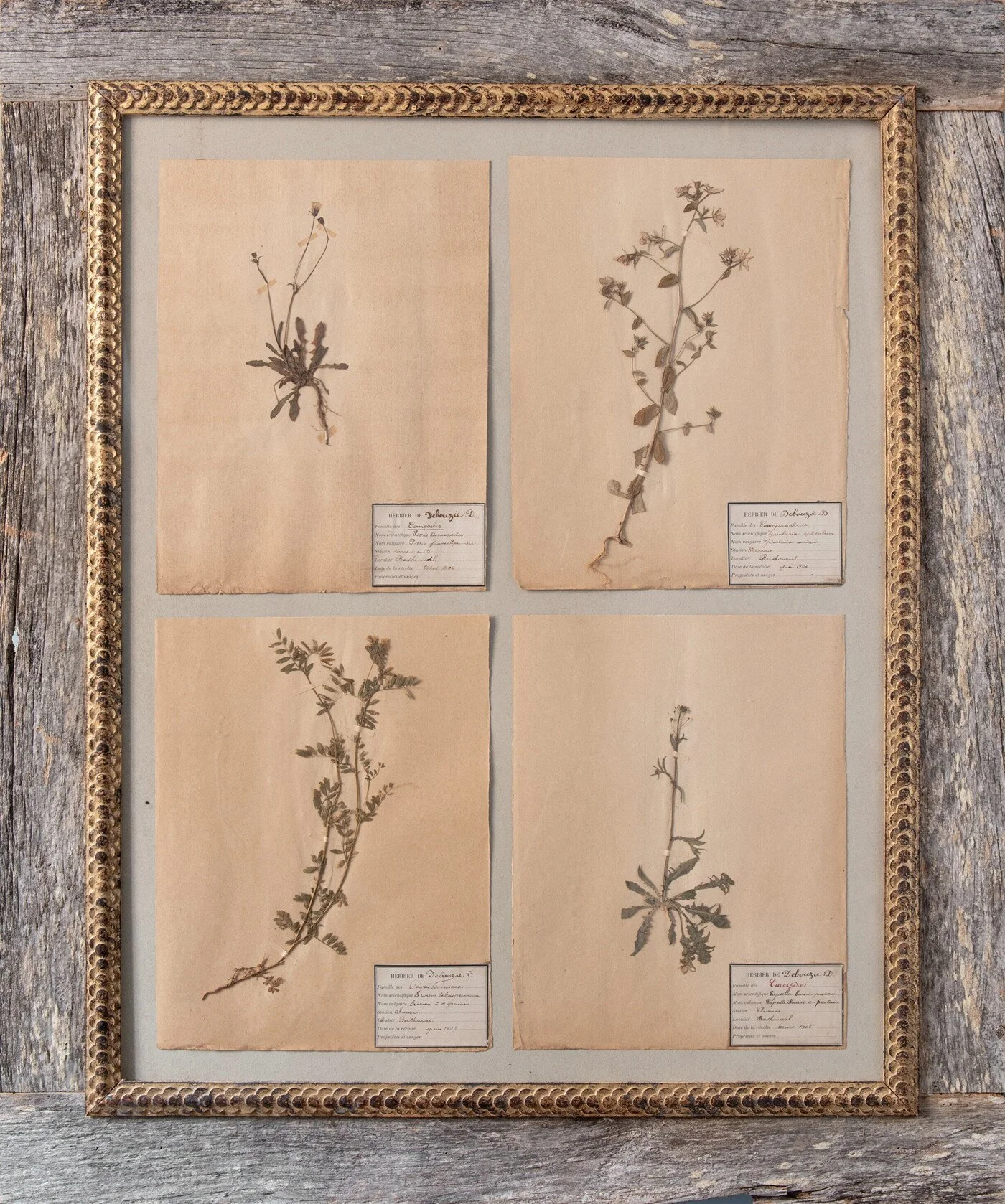 jan 2026-8154 copy-v2 copy06.jpg