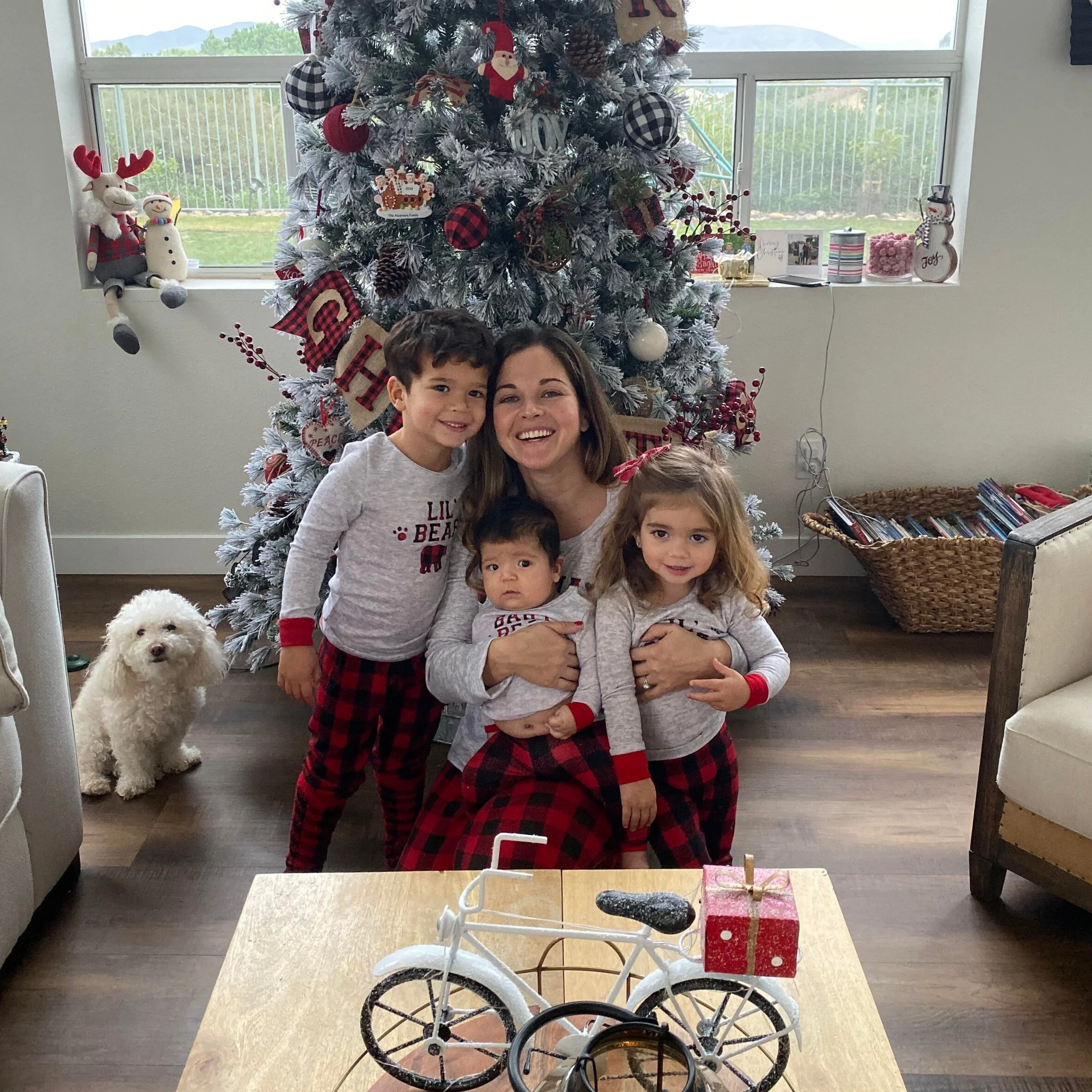 Maximizing Simplicity and Finding JOY this Christmas Season