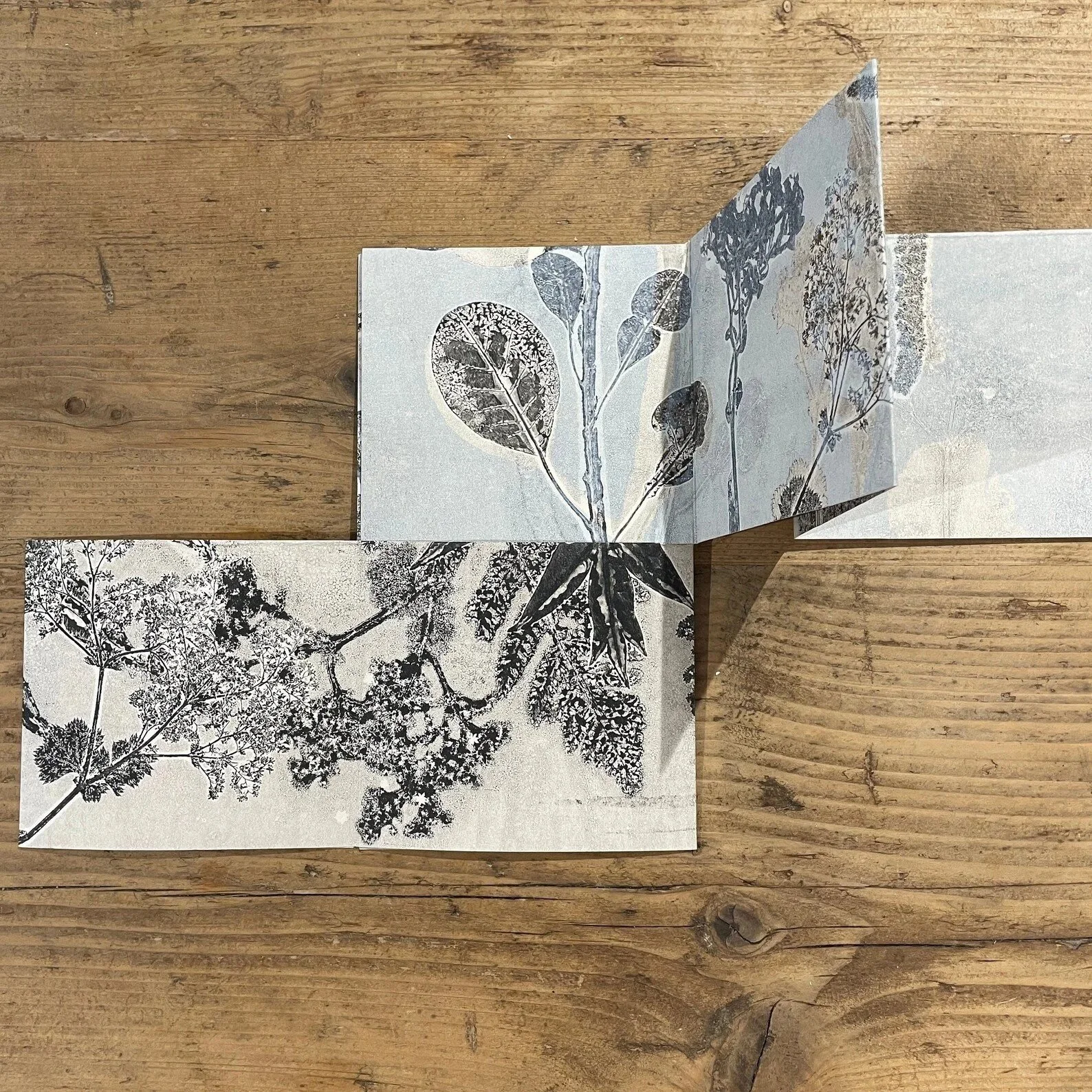 Botanical Monotypes: Accordion books and cards