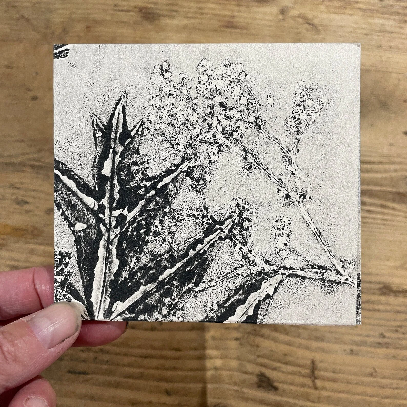 botanical monotypes 2.jpg