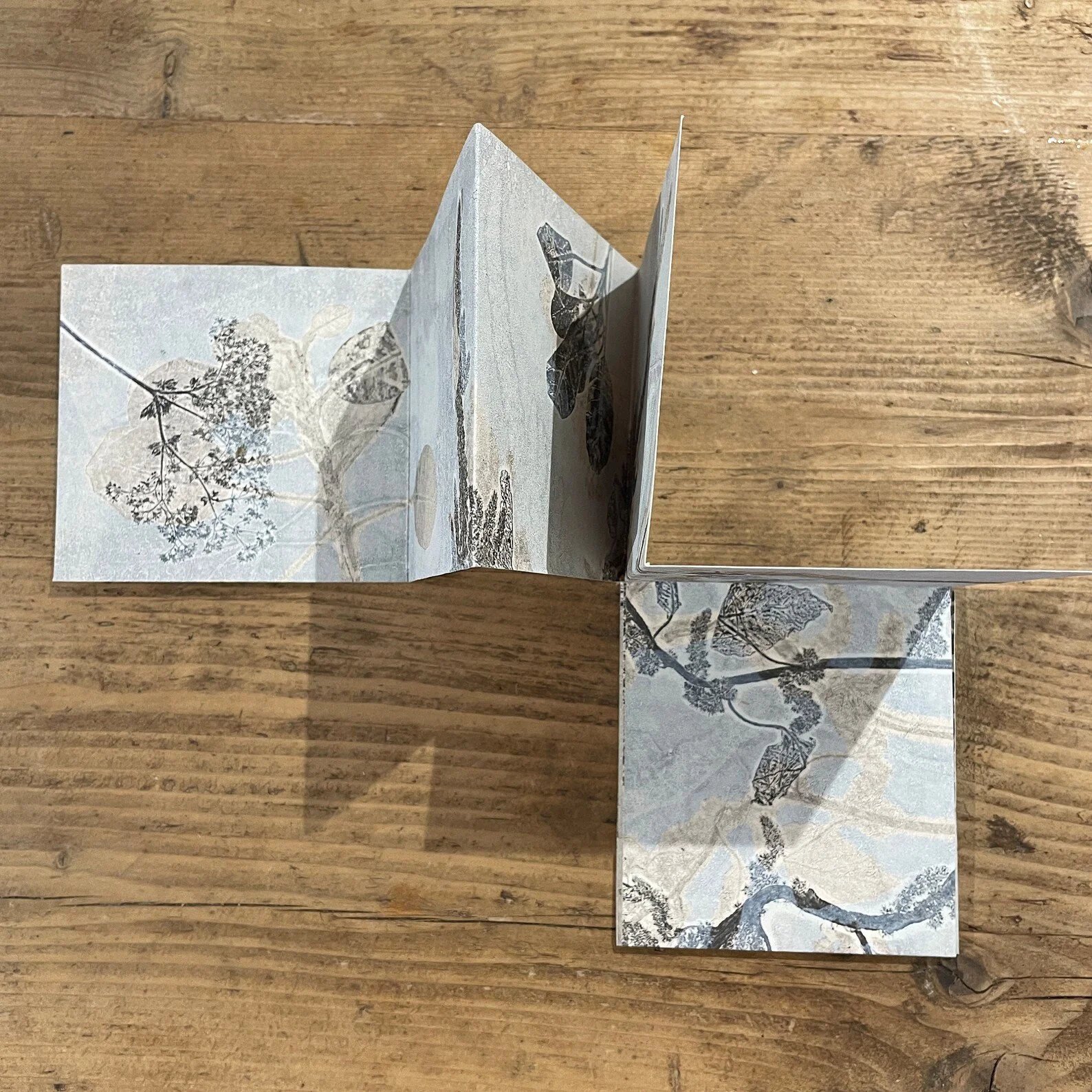 botanical monotypes 4.jpg