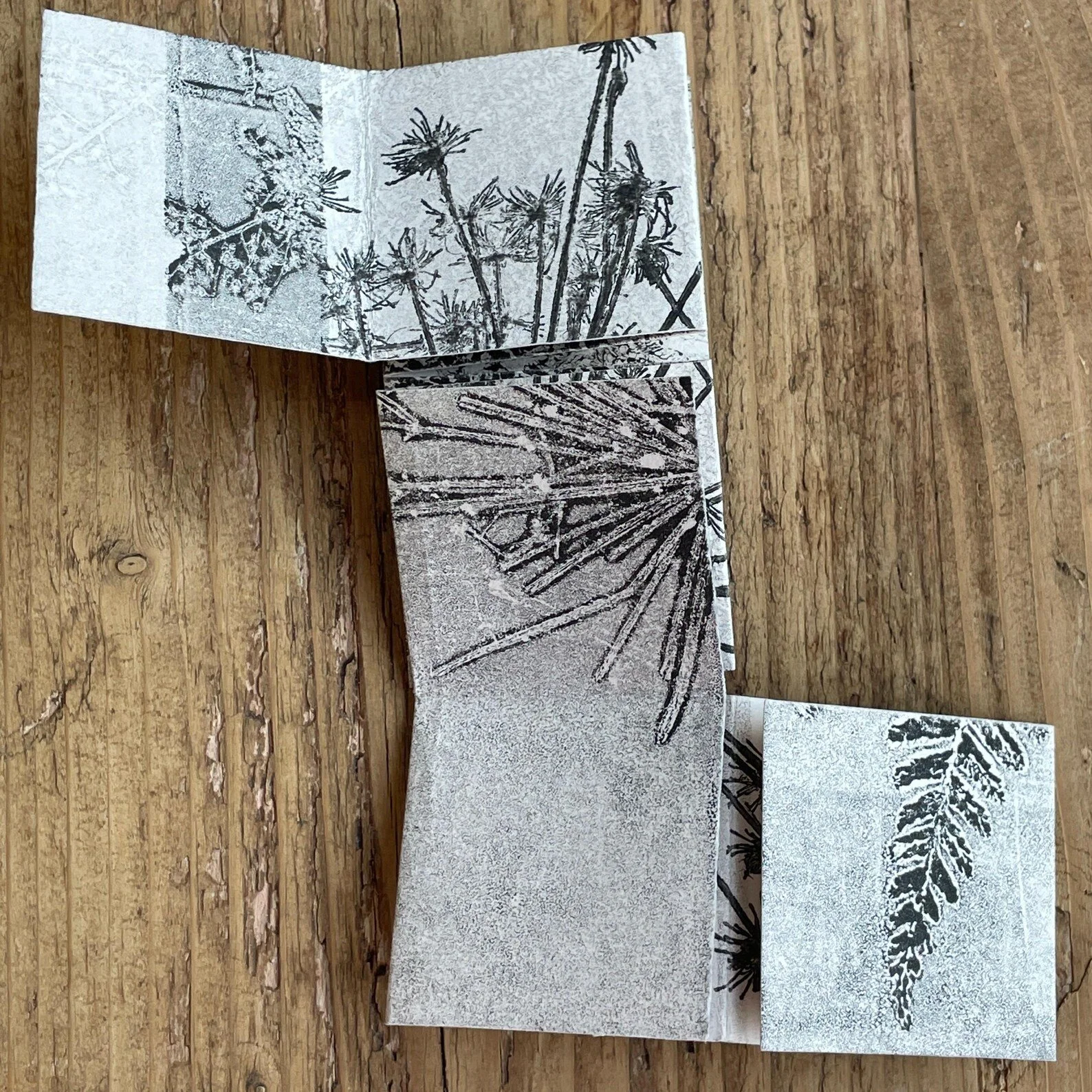 botanical monotypes 5.jpg