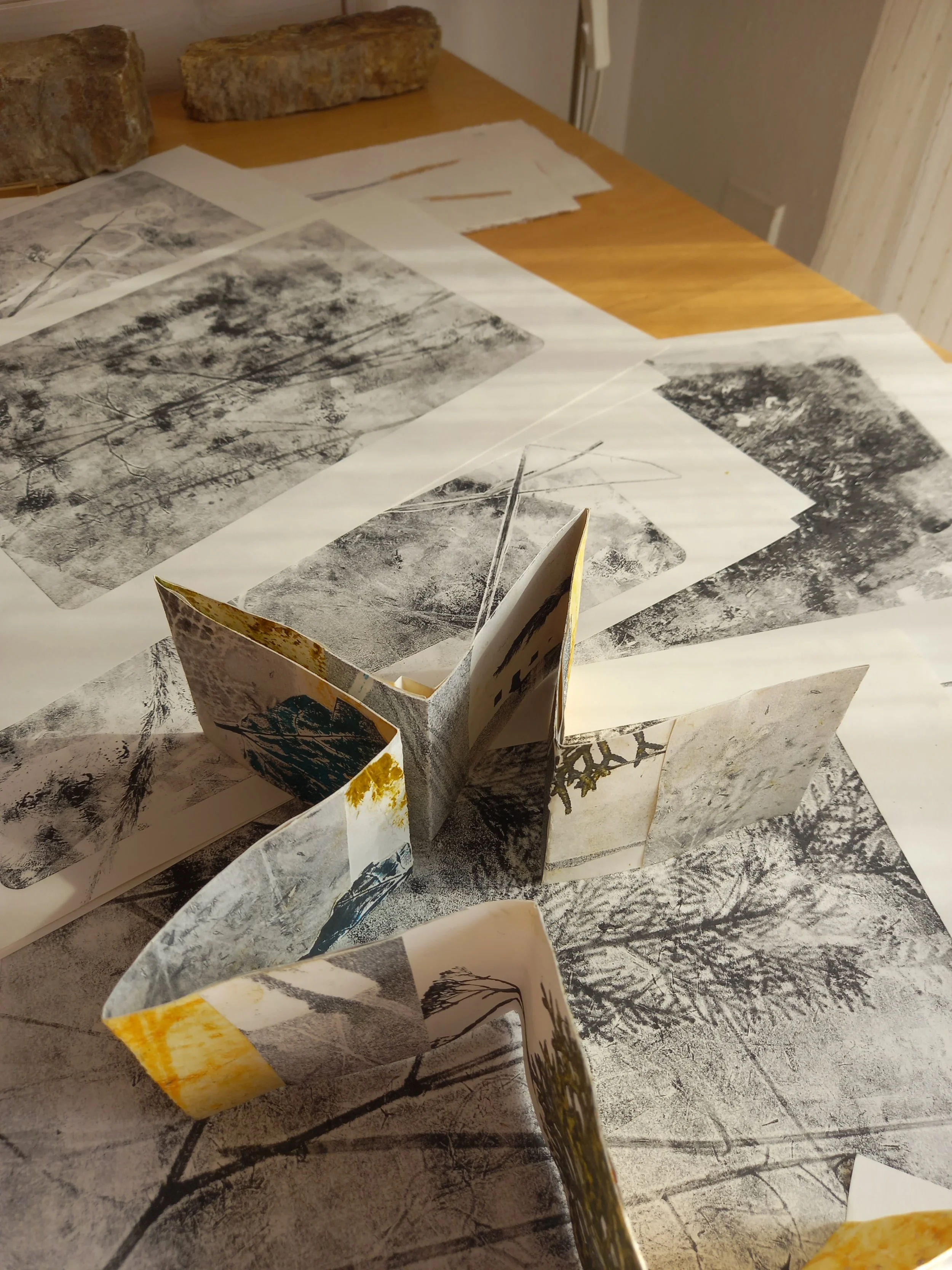 Botanical Monotypes: Accordion books and cards 