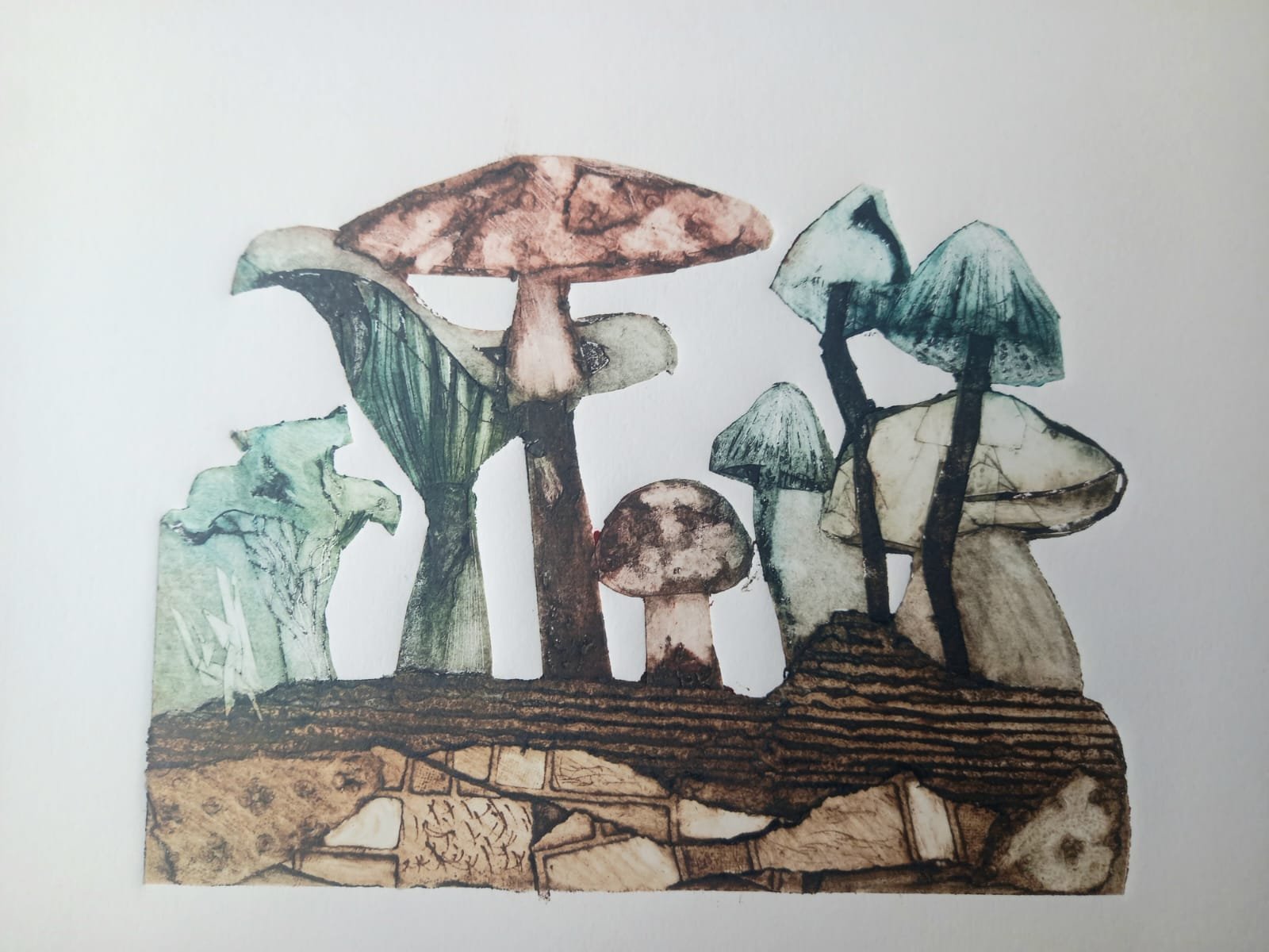 mushrooms color.jpeg