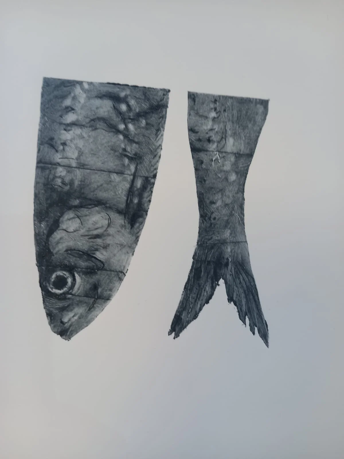 fish.jpeg