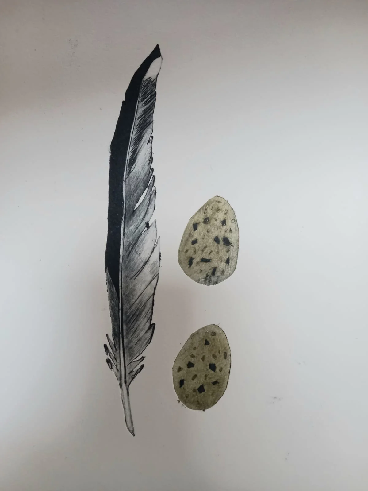 feathers.jpeg