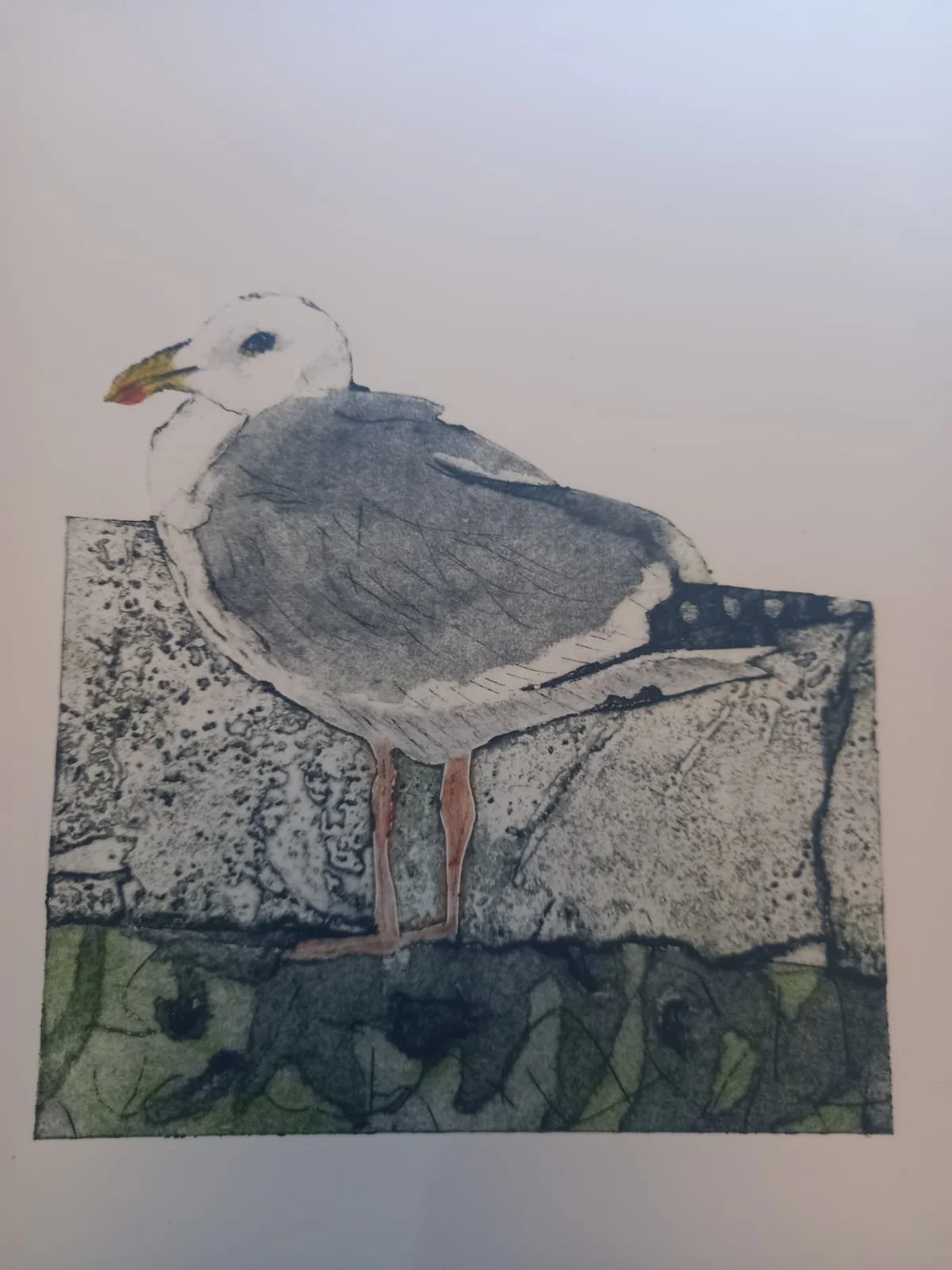 seagul.jpeg
