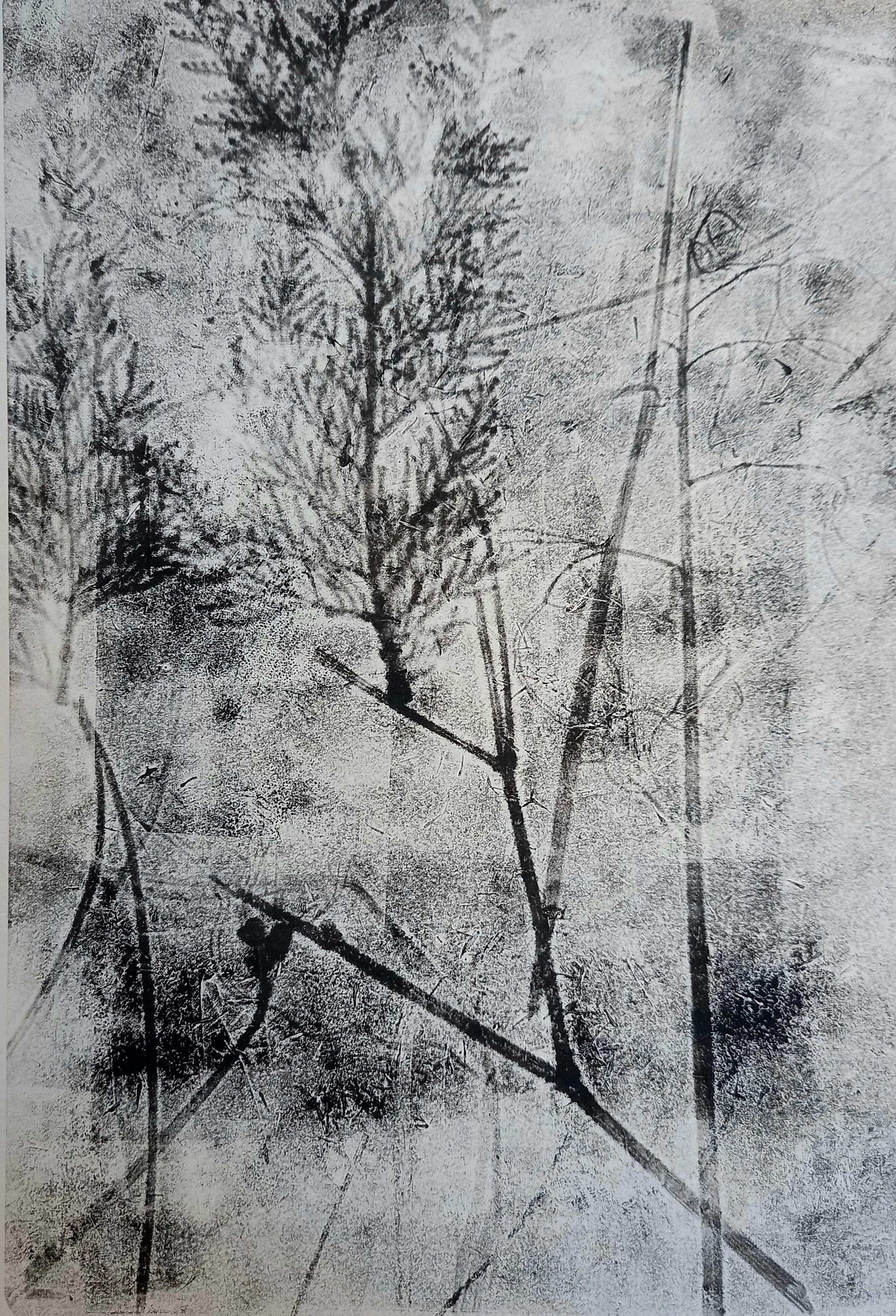 20260128_171052 (1).jpg