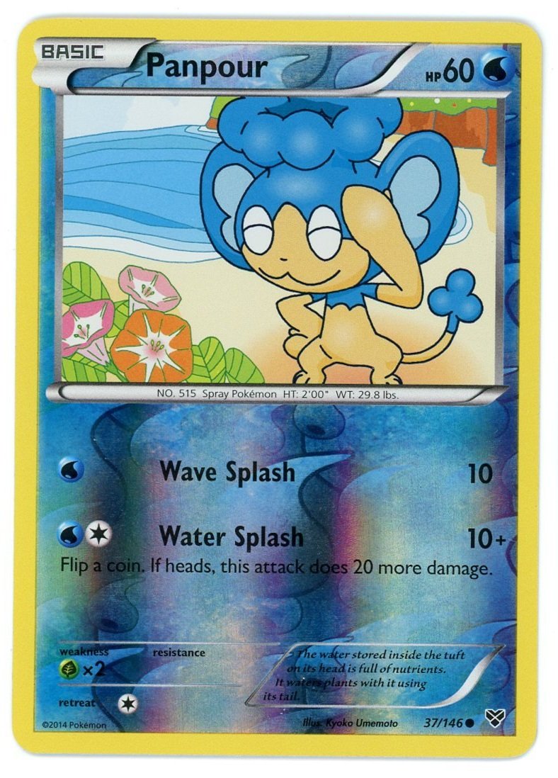 Panpour Reverse Holo 37/146 XY Base Pokémon Single Card