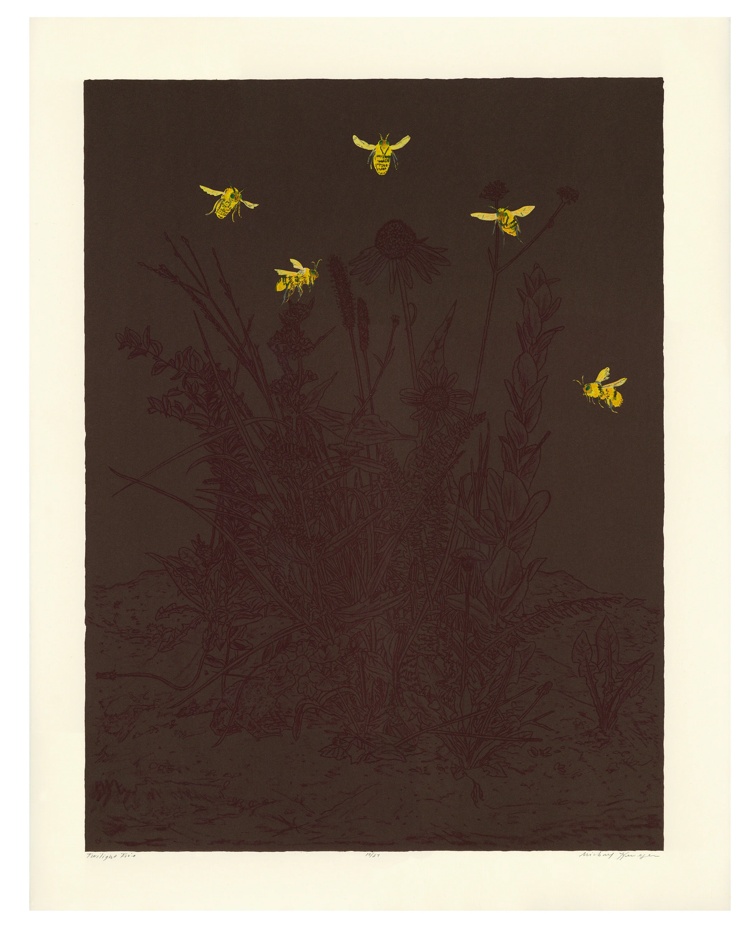 Twilight Five, lithograph, woodcut, pochoir with chine-collé, 28.5 x 22.25 inches, 2018.  Published by Lawrence Lithography Workshop, Kansas City, MO