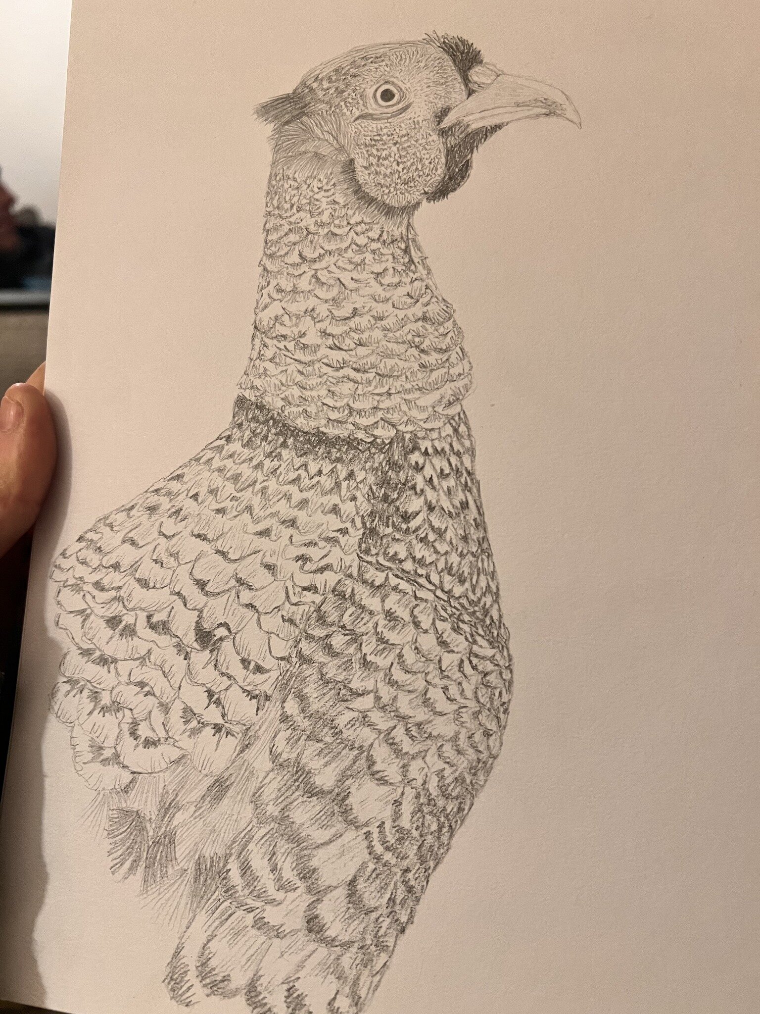 I NEED YOUR HELP!

After finishing my latest pheasant I'm not sure what to do with him. So I'm after your vital and precious opinions.

Here are the options - do I:
1. Leave him as he is
2. Add some paint and colour
3. Add some black ink

Leave your 
