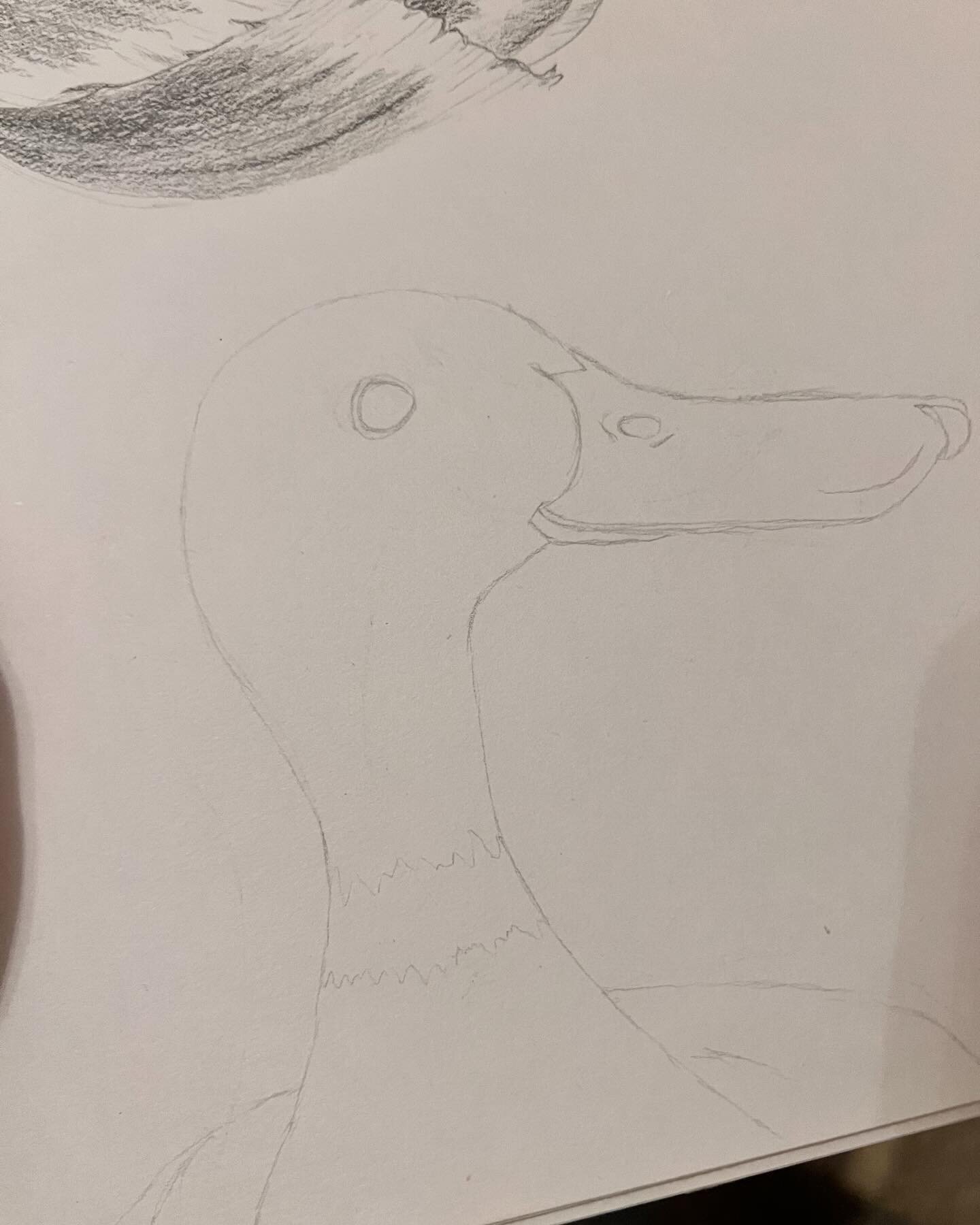 How it started to where it ended&hellip;
-
Here is a little duck 🦆 that I have done over the last couple of days - really getting the bug for some sketching atm however I am also dying to just get some paint out too - it&rsquo;s just far too cold in