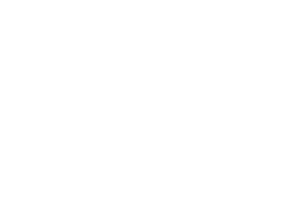 The RAH Band