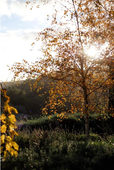 Screenshot 2026-02-02 144541.png