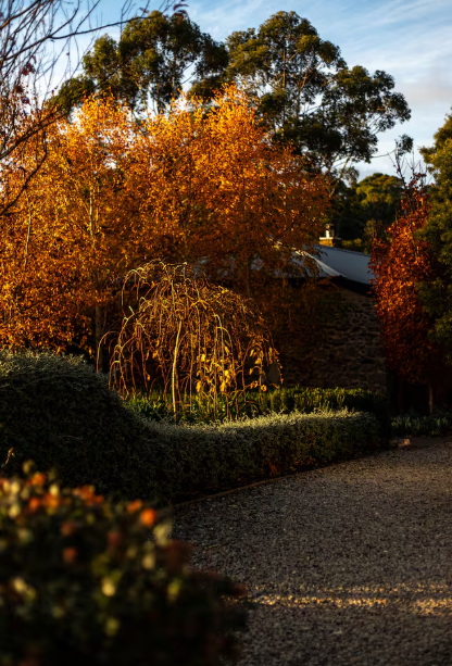 Screenshot 2026-02-02 183632.png