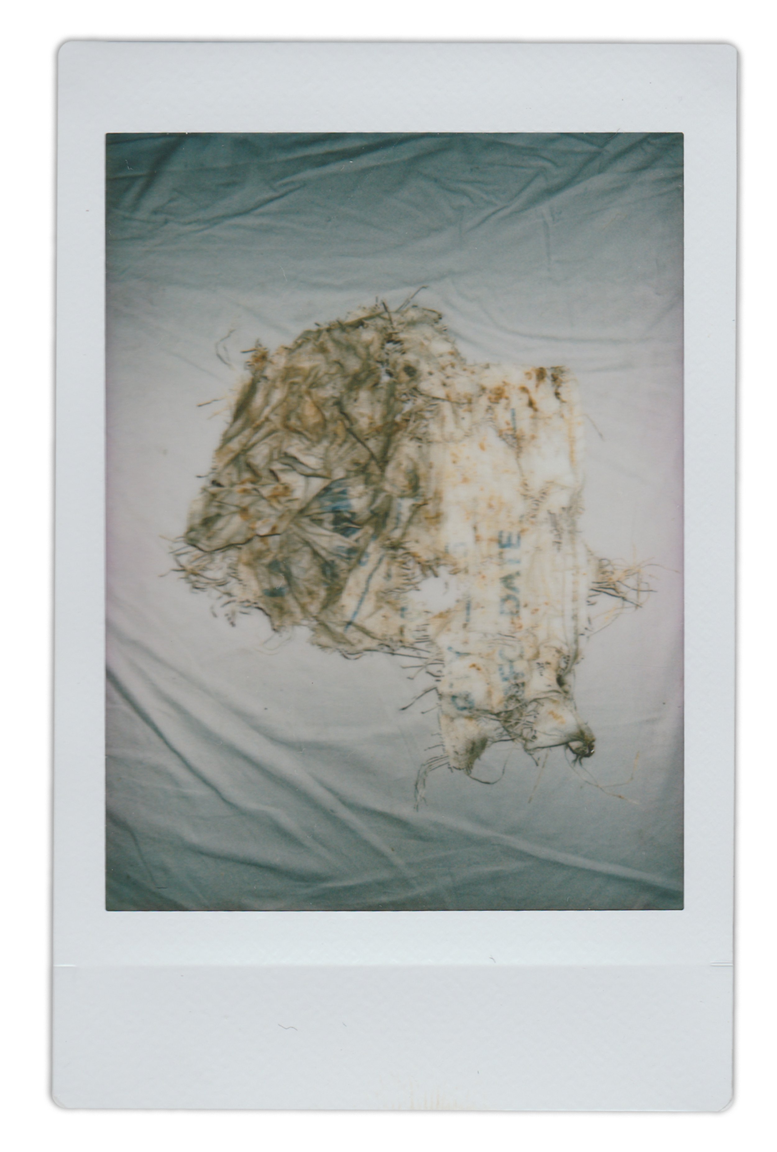 Polaroid Individual_0002s_0001_Background copy.jpg